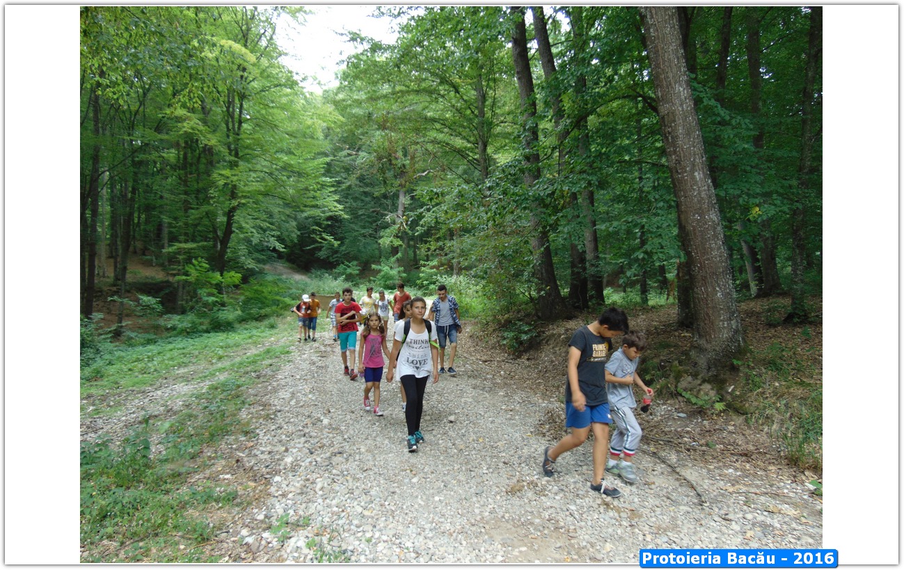 Şcoli de vară sub streaşina bisericii