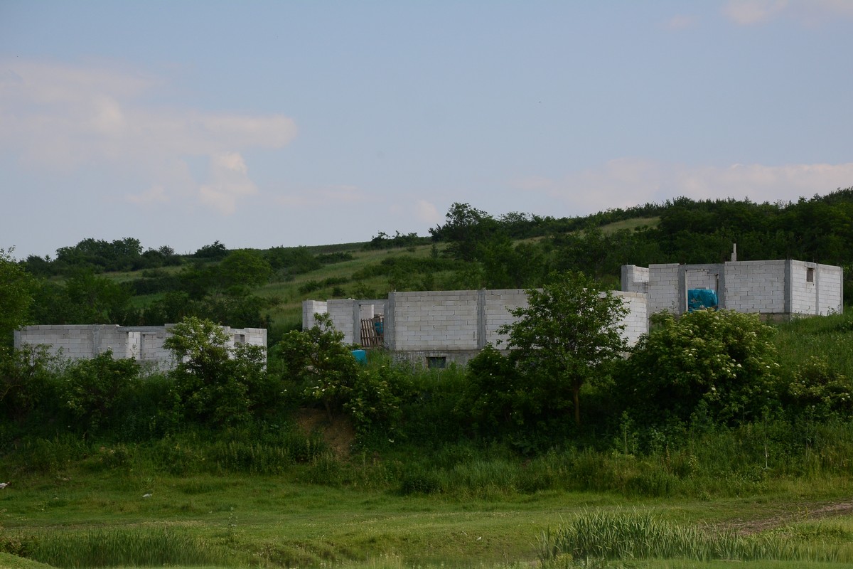 Tinerii de la „Omenia“ zidesc viitorul împreună