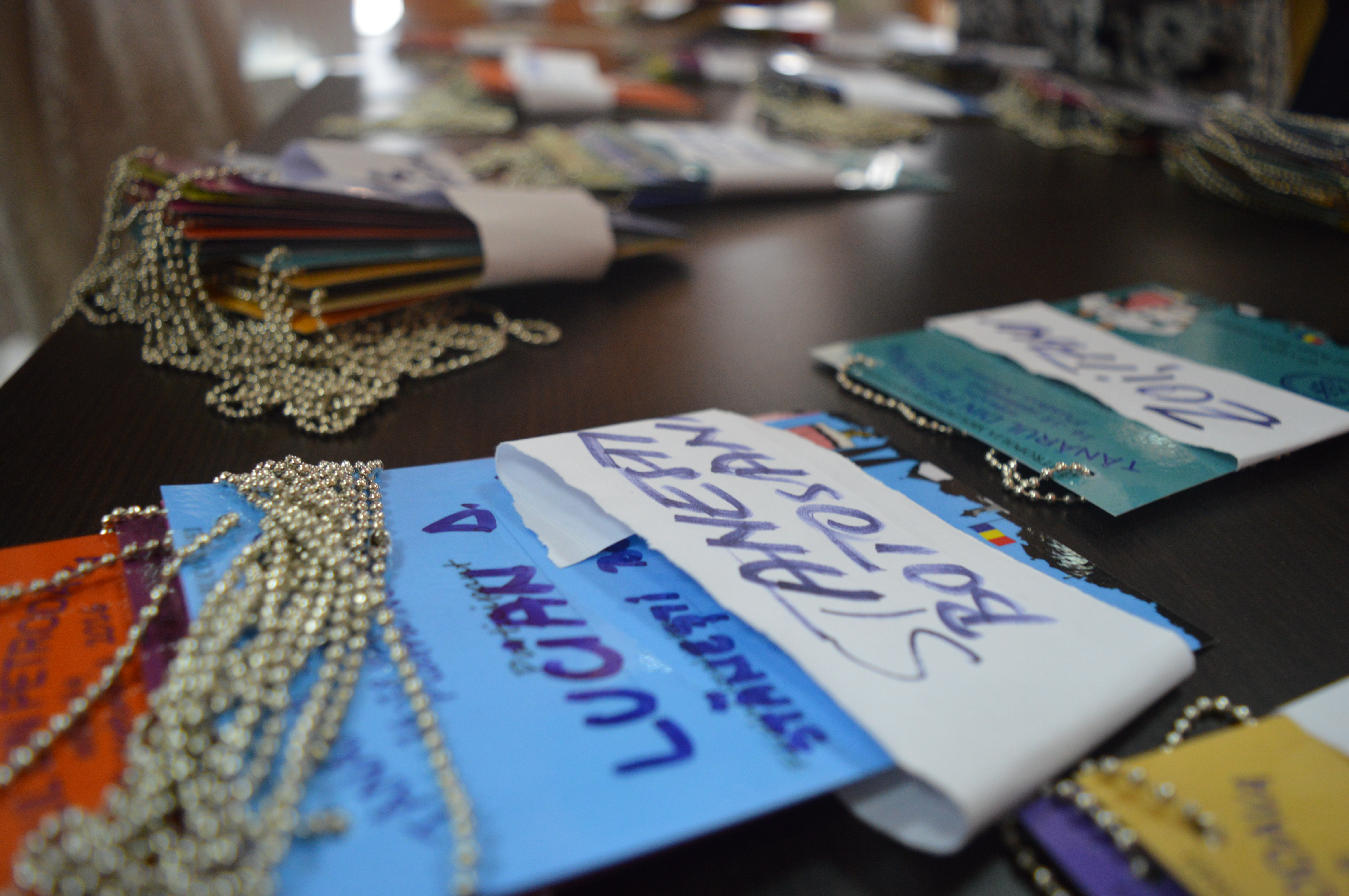 Bilanţul ediţiei a II-a a Taberei „Tânărul din Petrodava“ (GALERIE FOTO)