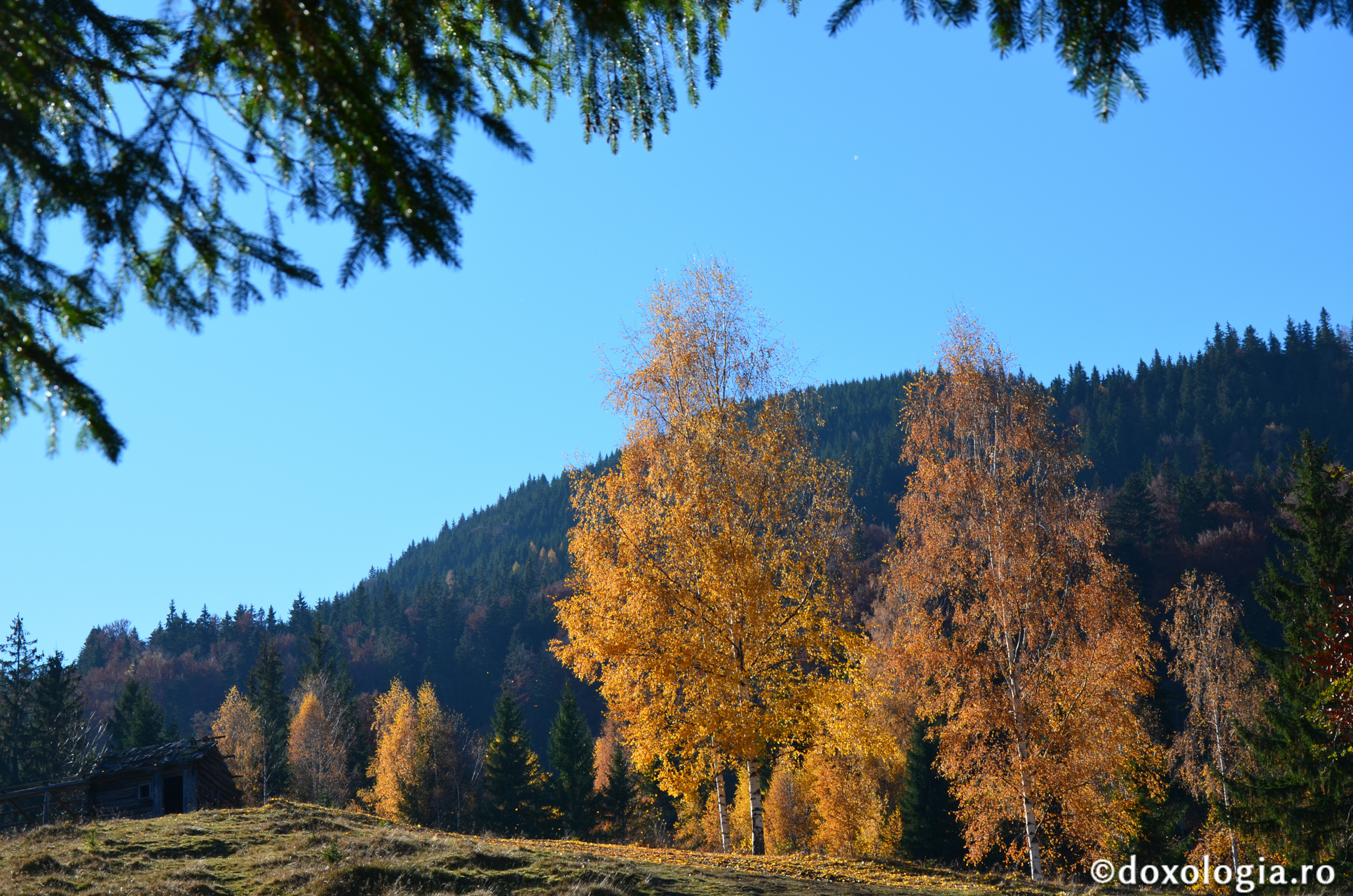 Foto: Cătălin Acasandrei Fratele Ioan – doctorul din Munții Rarăului