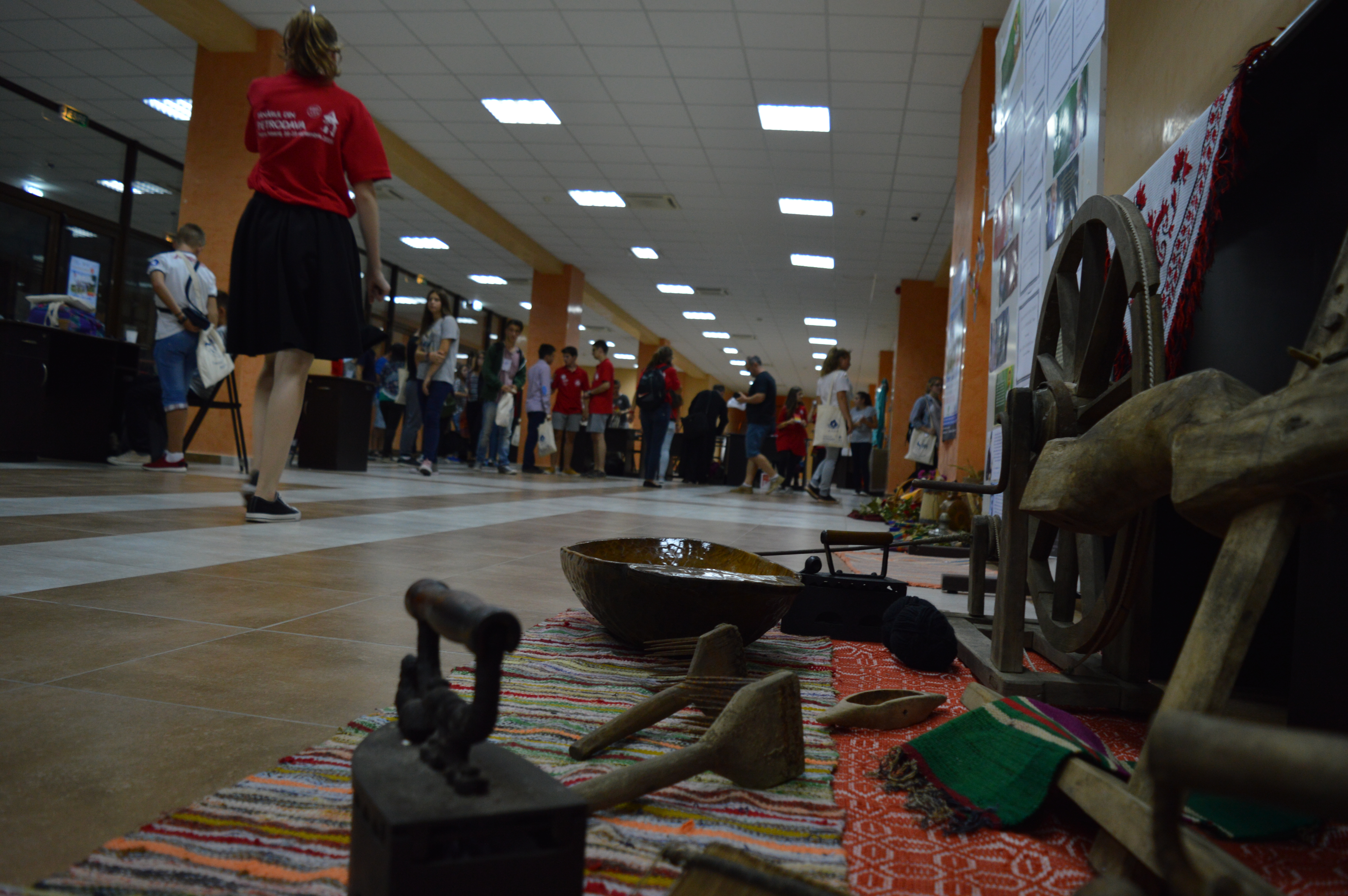 Bilanţul ediţiei a II-a a Taberei „Tânărul din Petrodava“ (GALERIE FOTO)