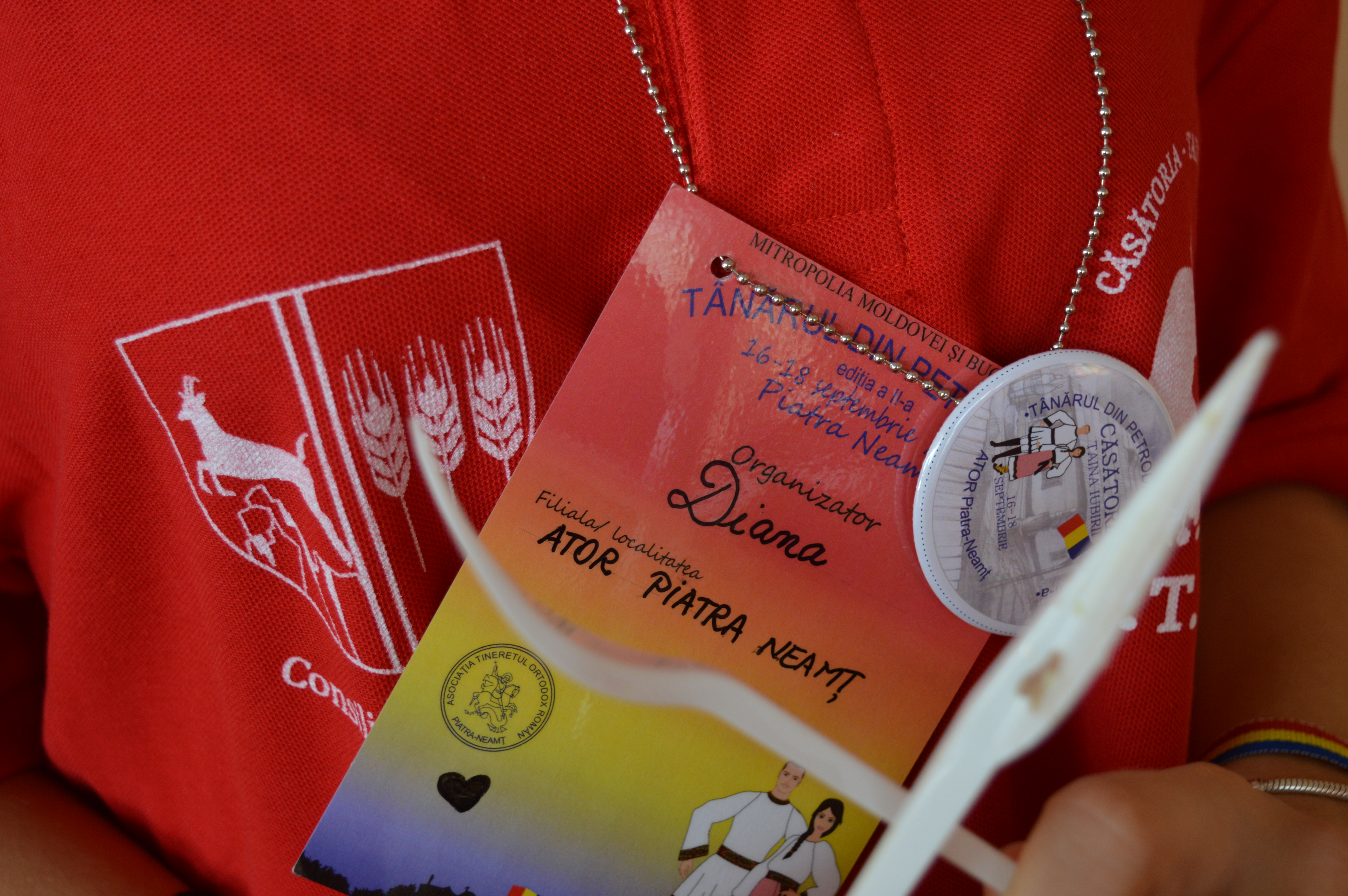 Bilanţul ediţiei a II-a a Taberei „Tânărul din Petrodava“ (GALERIE FOTO)