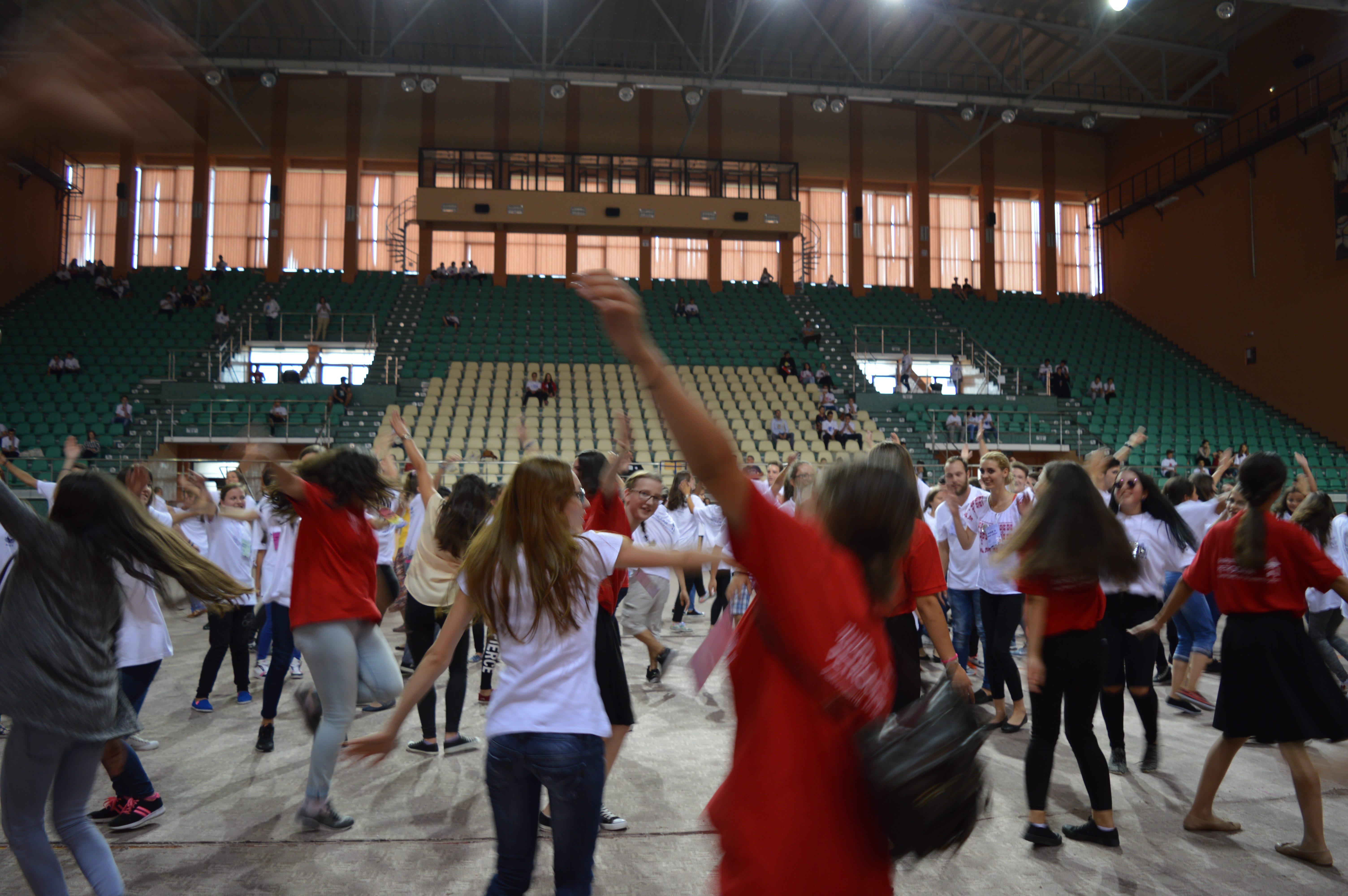 Bilanţul ediţiei a II-a a Taberei „Tânărul din Petrodava“ (GALERIE FOTO)