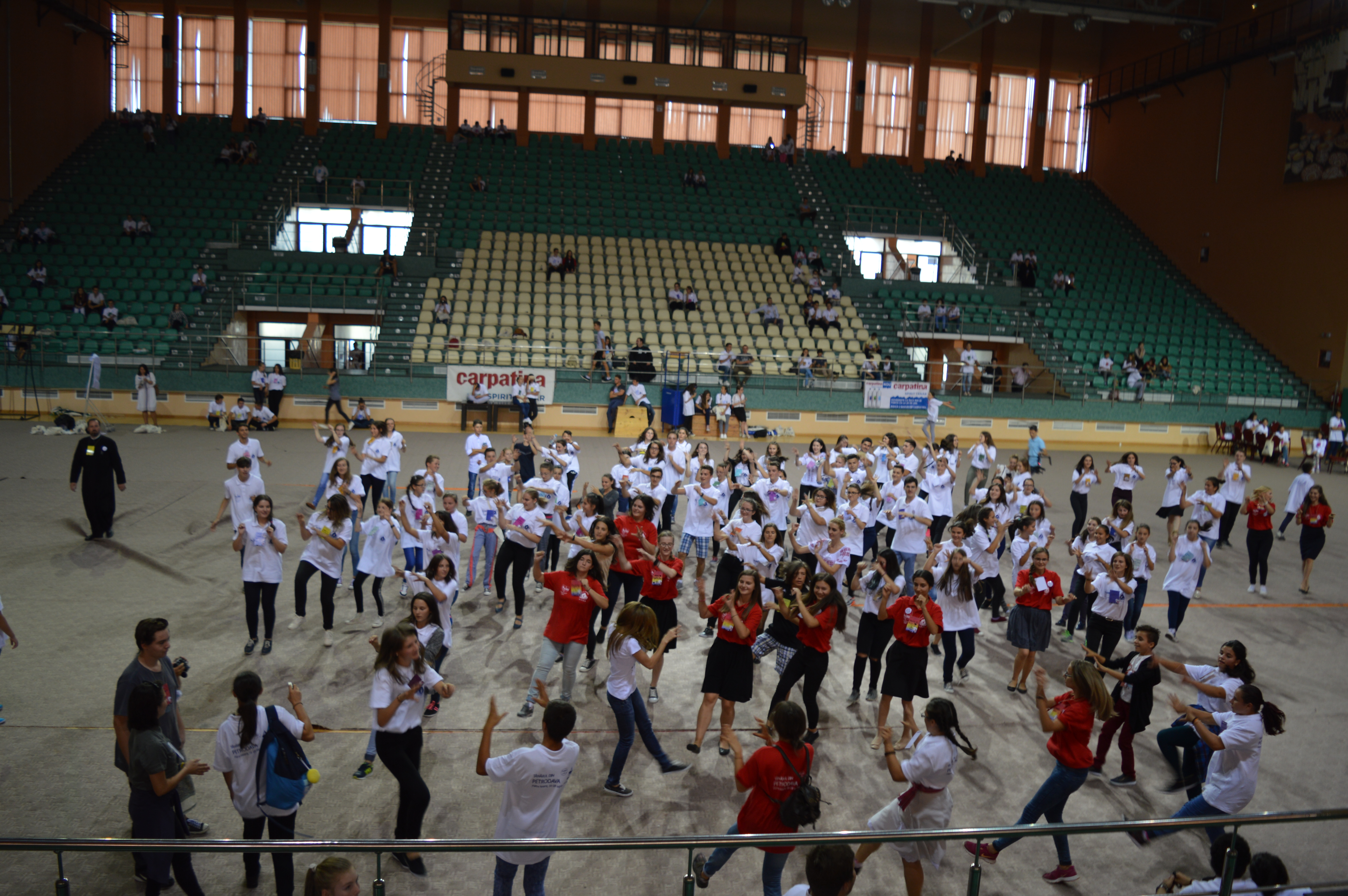Bilanţul ediţiei a II-a a Taberei „Tânărul din Petrodava“ (GALERIE FOTO)