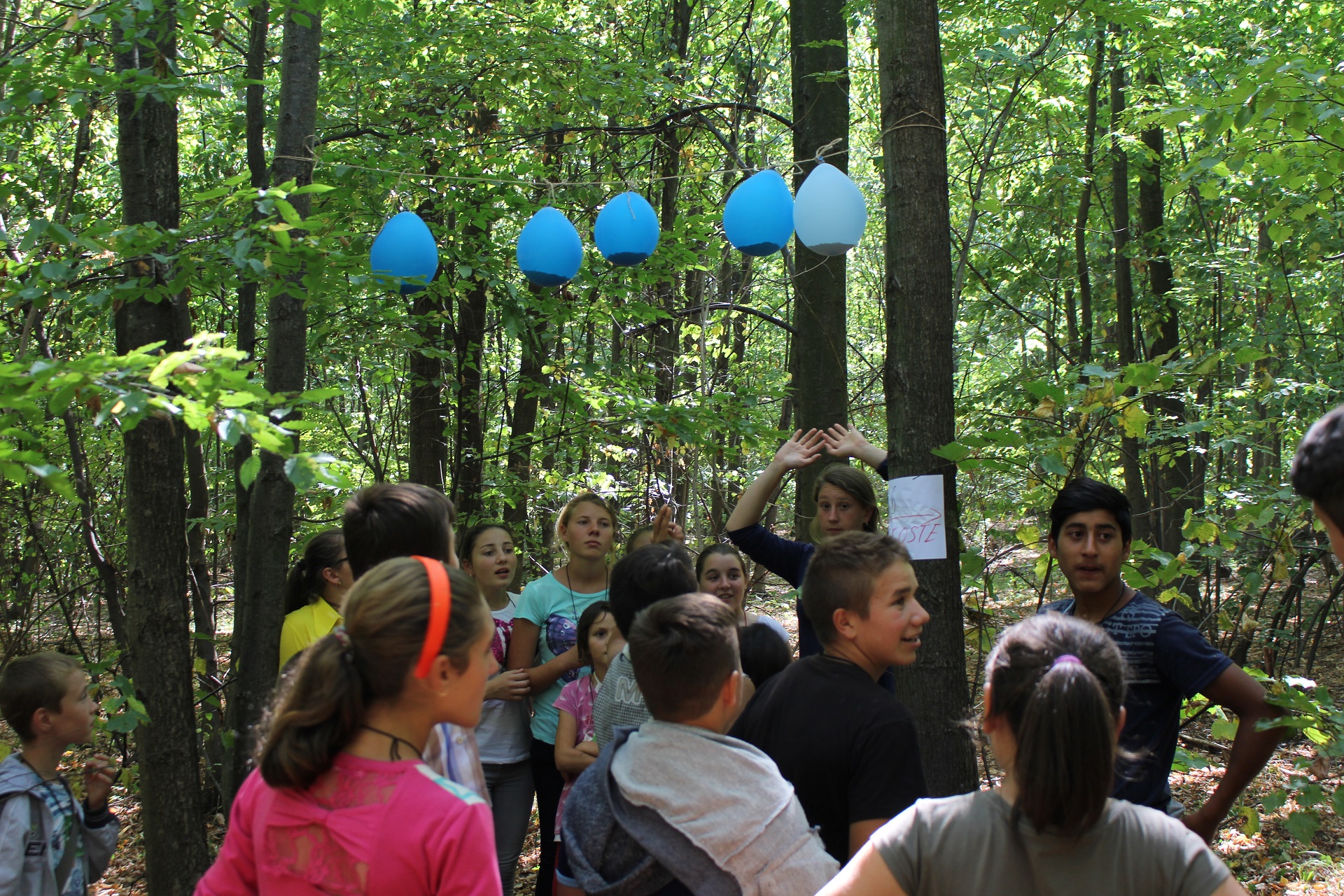 La Unguroaia a avut loc prima ediţie a Taberei „Bucuriile credinţei“