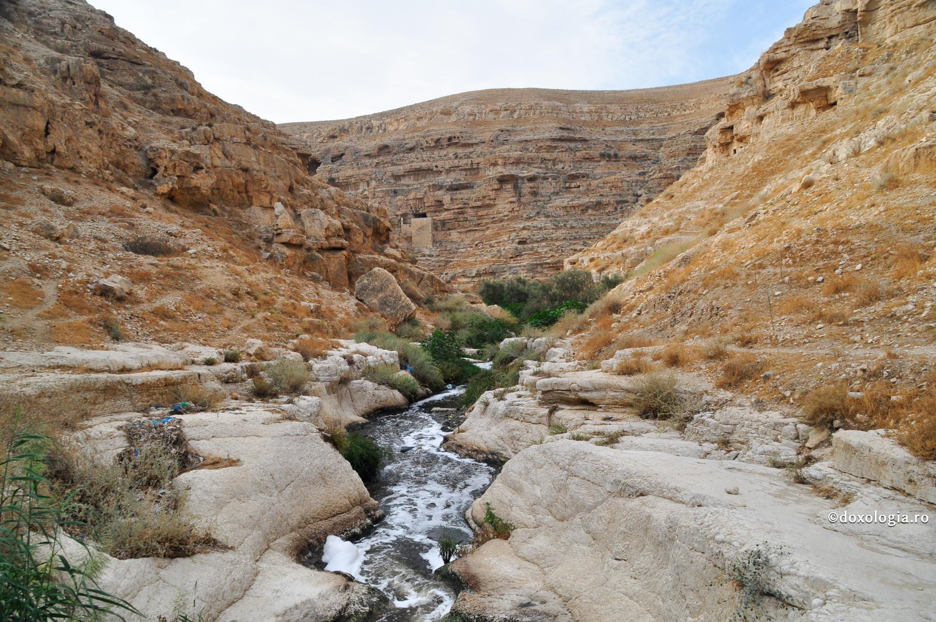 Trei lucruri pe care le poți învăța de la un izvor