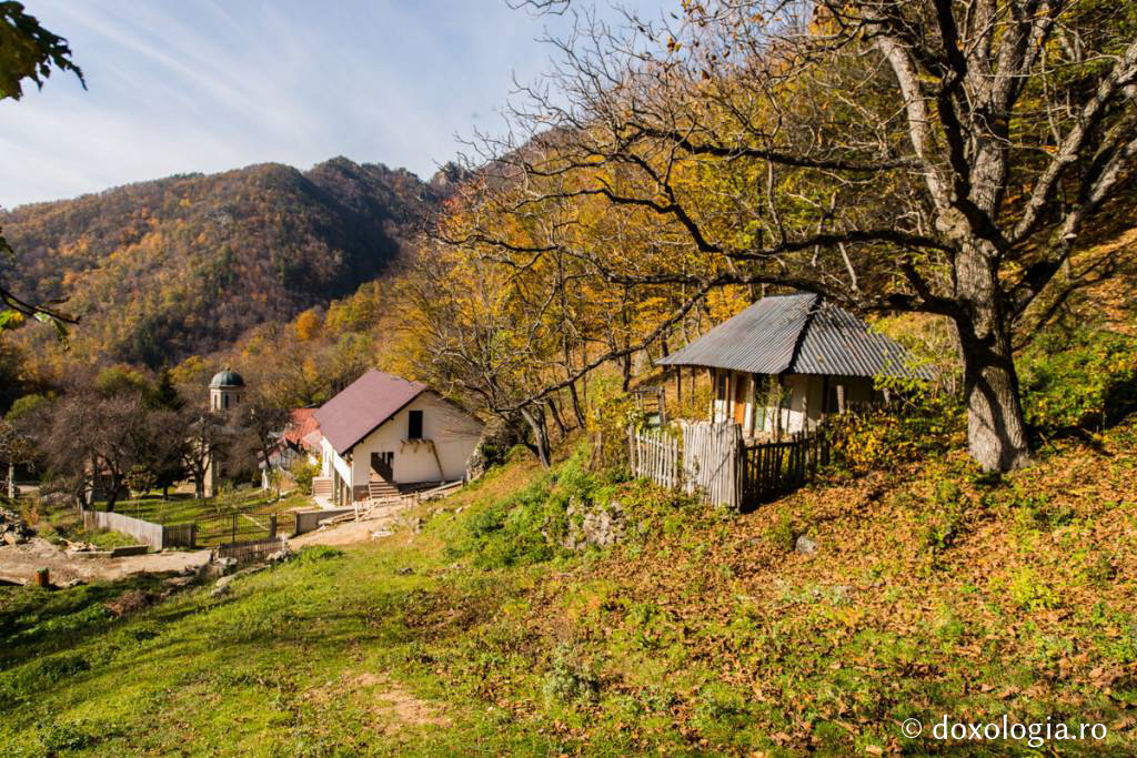 Mănăstirea Stânișoara