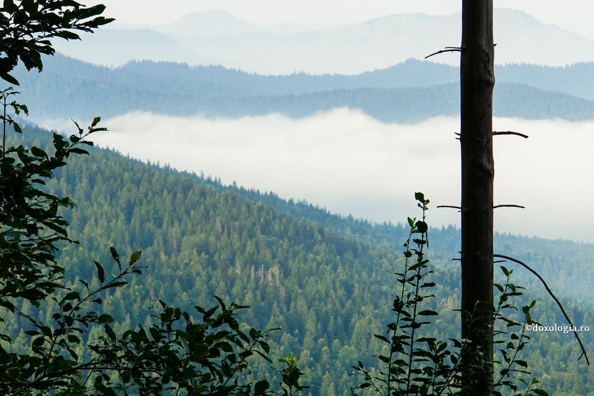 Foto: Oana Nechifor Fratele Ioan – doctorul din Munții Rarăului