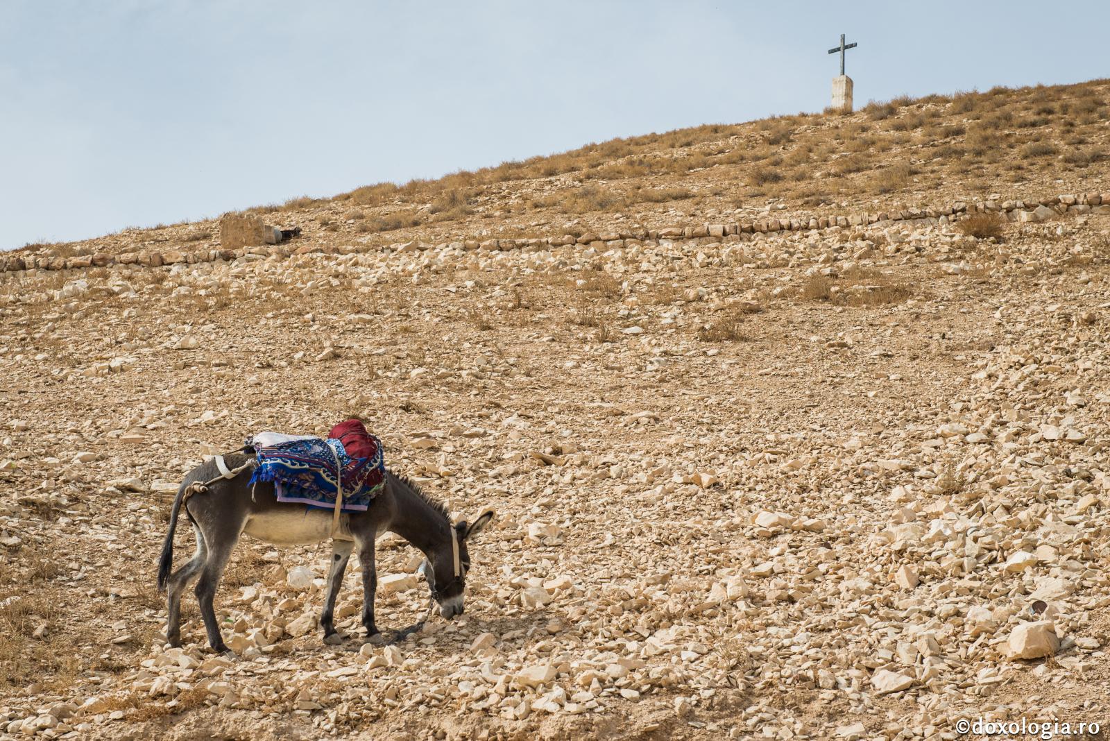 Ce evlavie aveau oamenii mai demult!