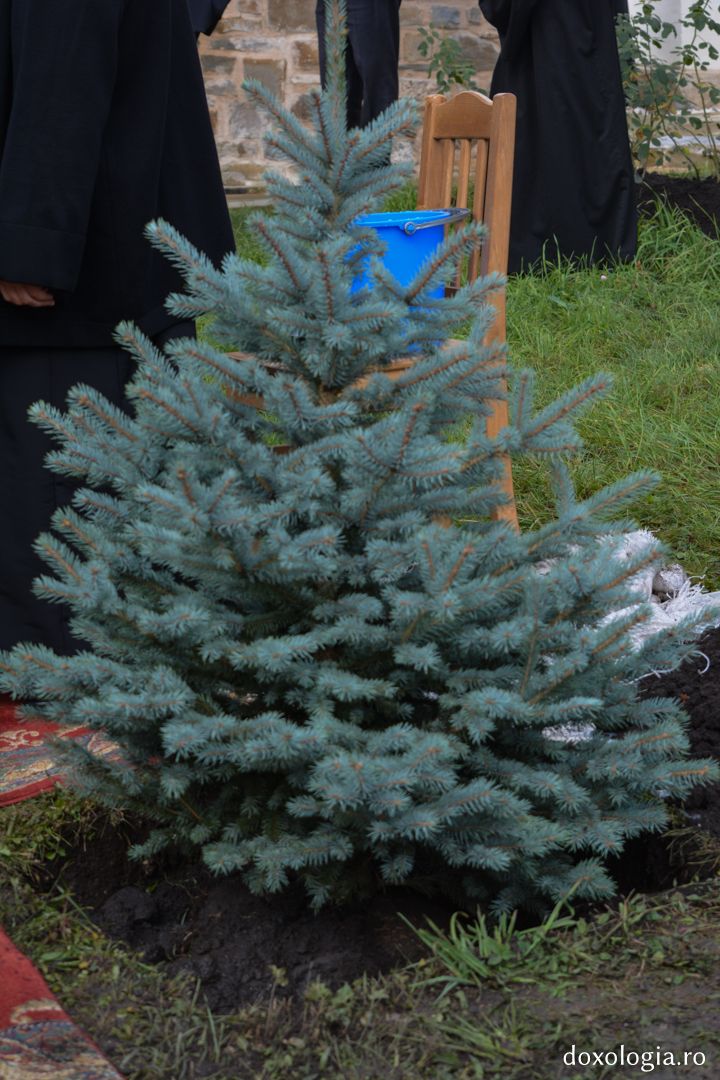 Tradiție la Mănăstirea Putna: Patriarhul Antiohiei a plantat un brad