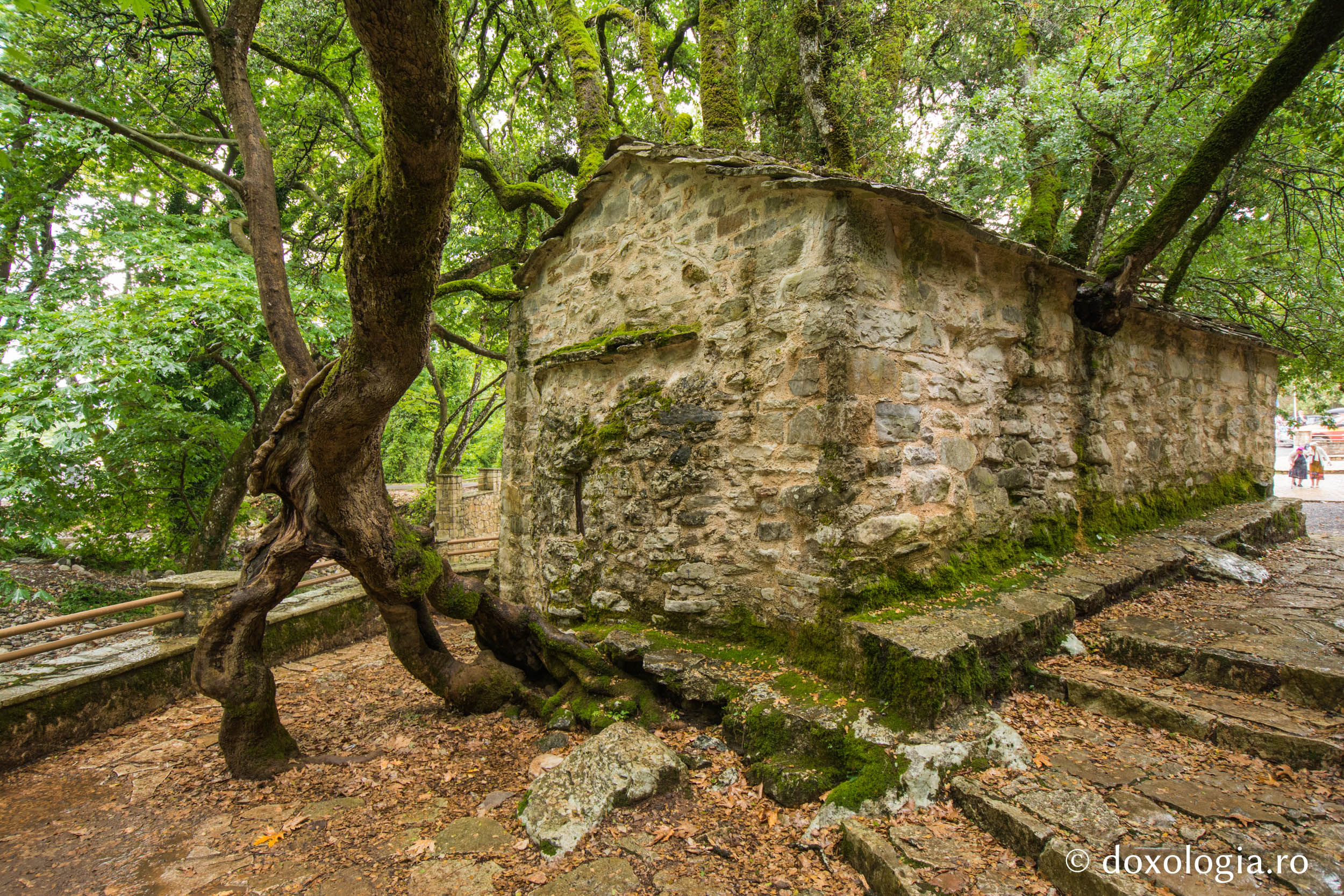 Biserica Sfintei Teodora din Vasta