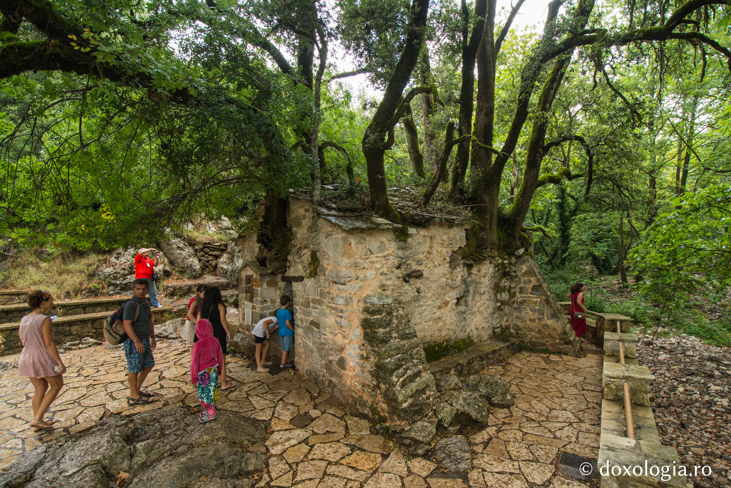 Dorința mea este ca în fiecare an să mi se săvârșească praznic...
