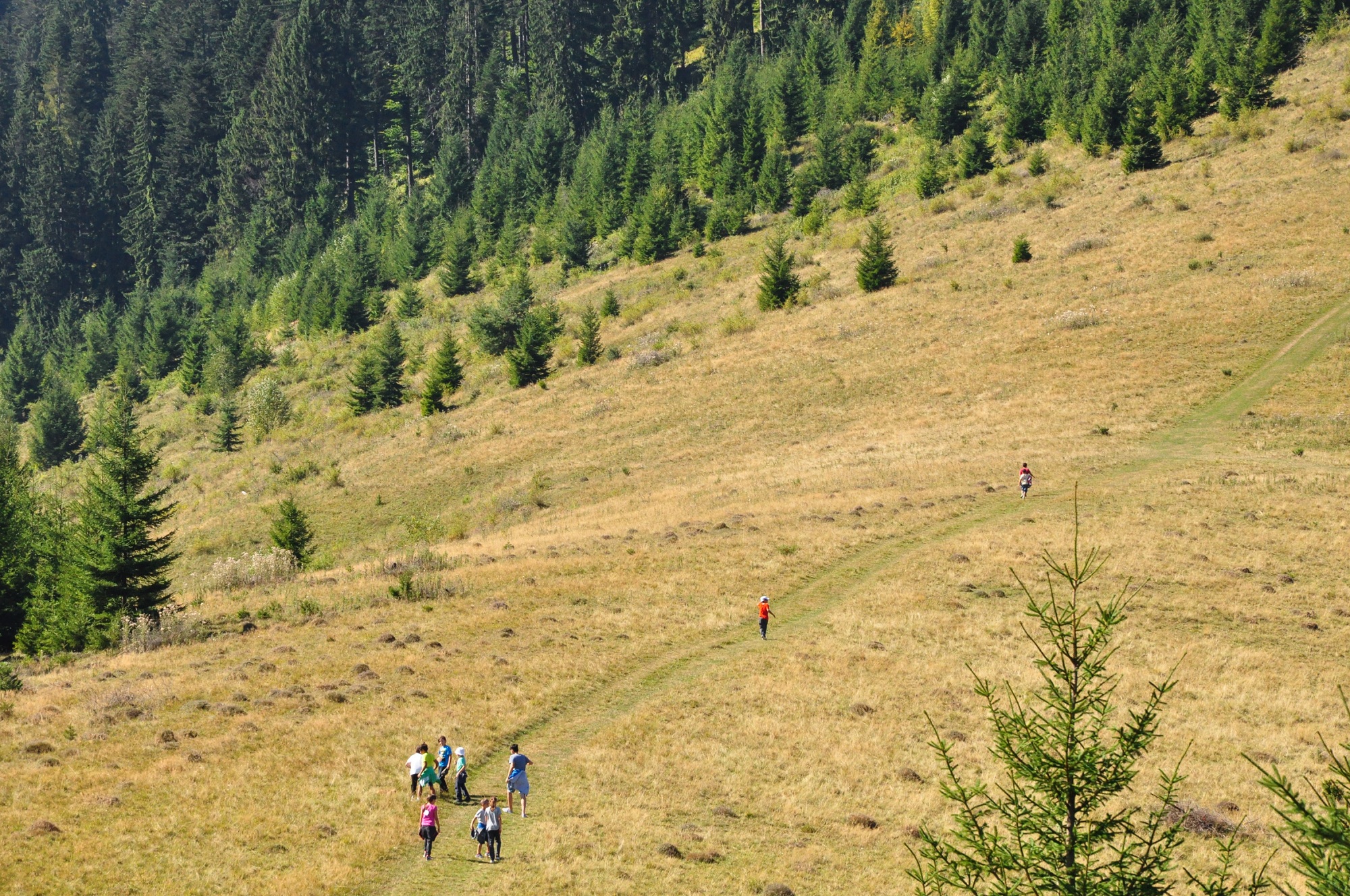 Tabăra APOR Vrancea și APOR Suceava, la Mănăstirea Putna