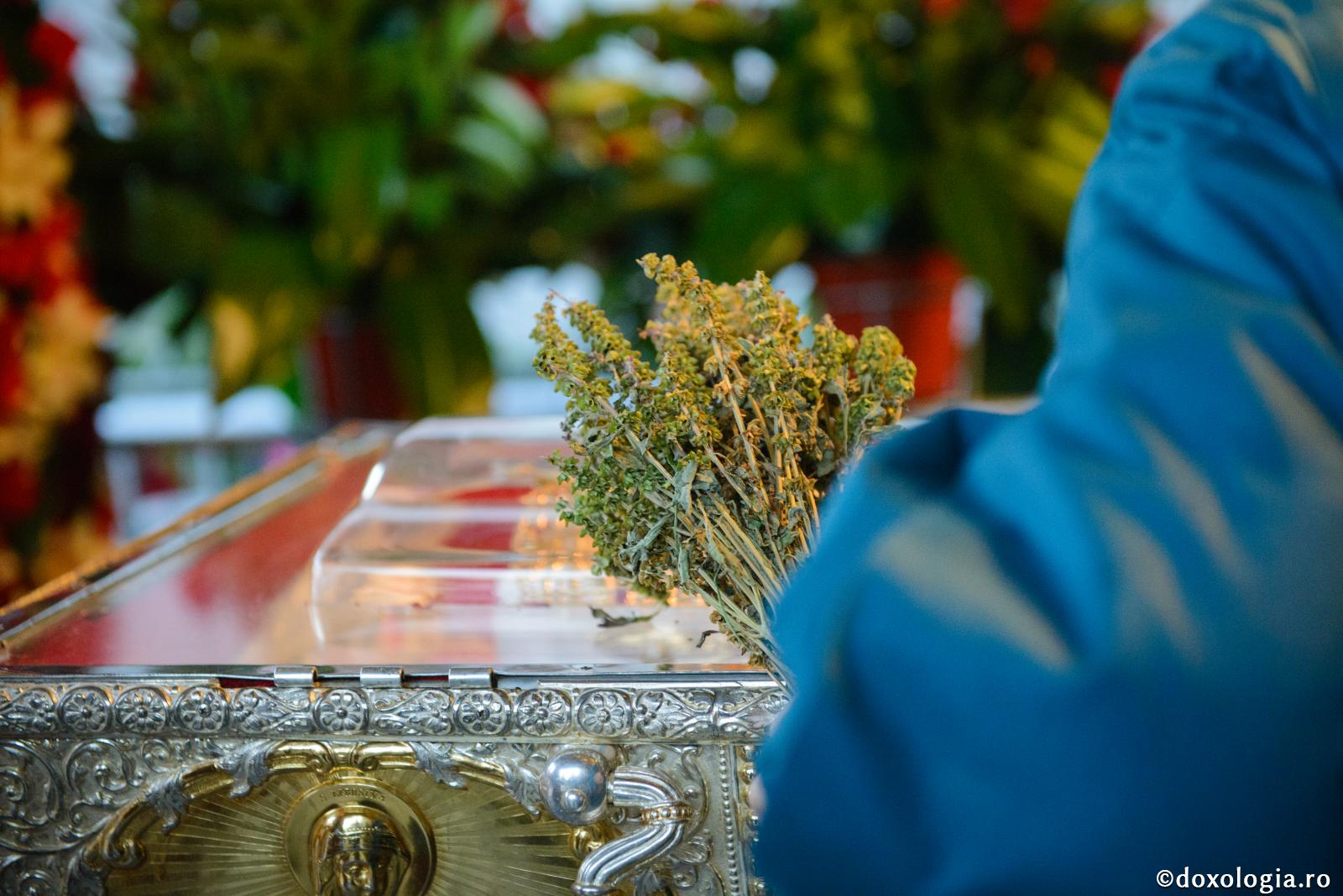 (Video) Îți mulțumesc, Sfântă Parascheva pentru toate!