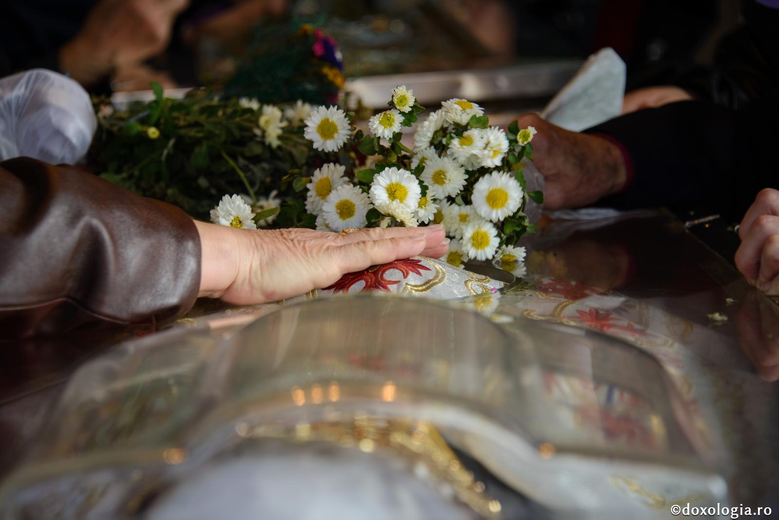 Întru așteptarea pelerinilor