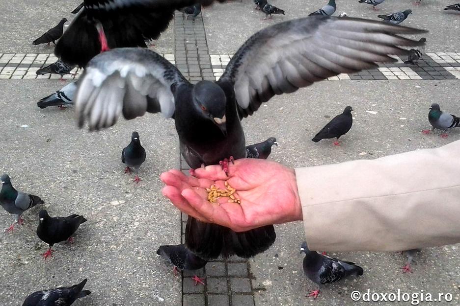 Creștinul și „răzbunarea” prin bunătate