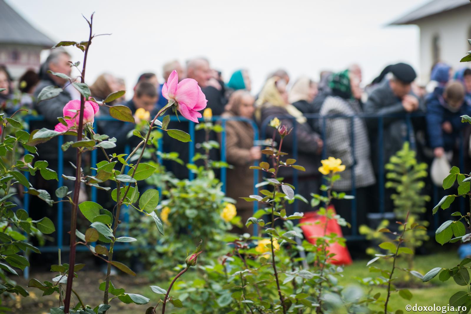 Și râvna poate duce la păcat. Scurt popas scripturistic