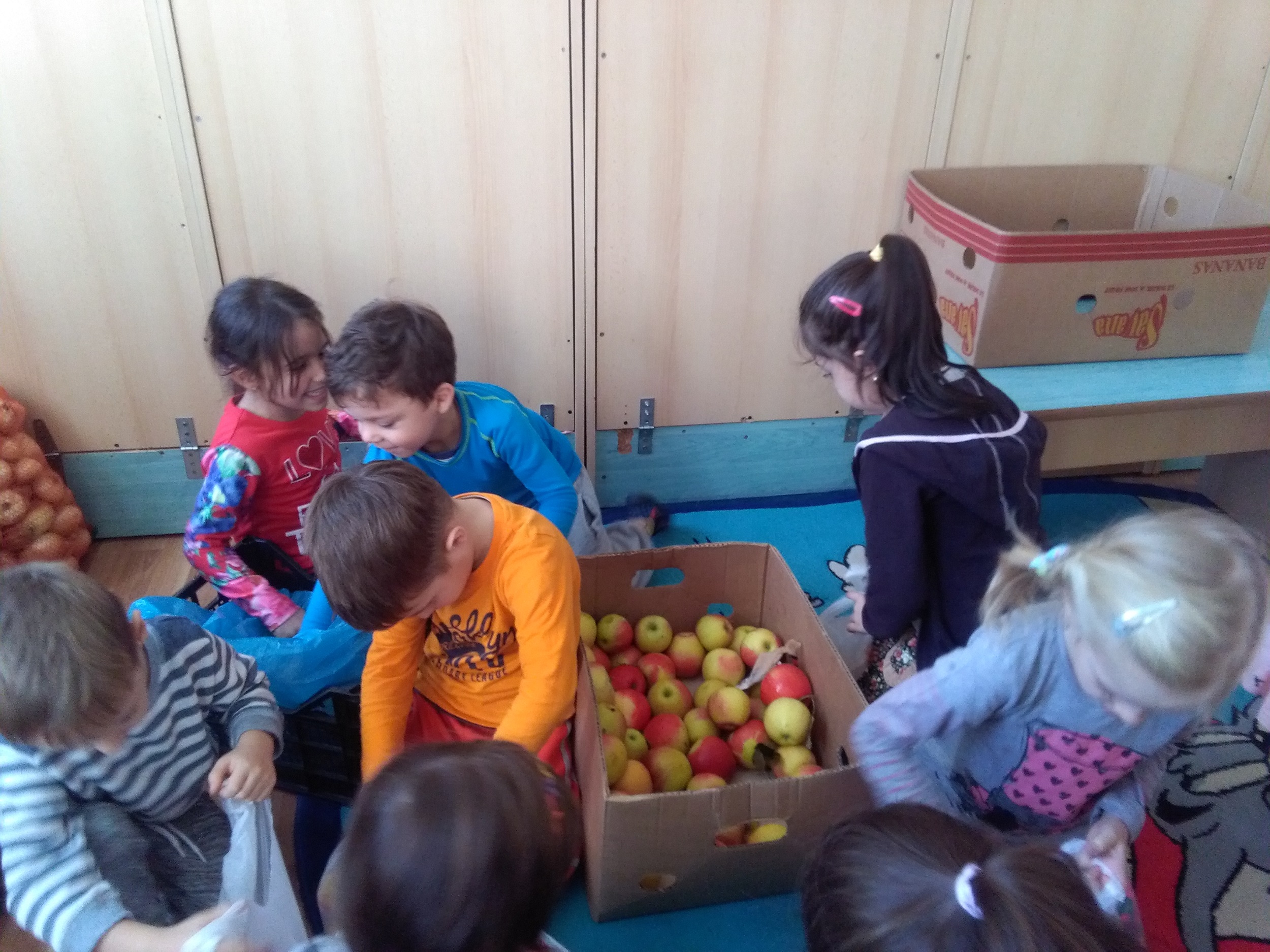 „Săptămâna legumelor şi a fructelor donate“, în Parohia Stânca Roznovanu