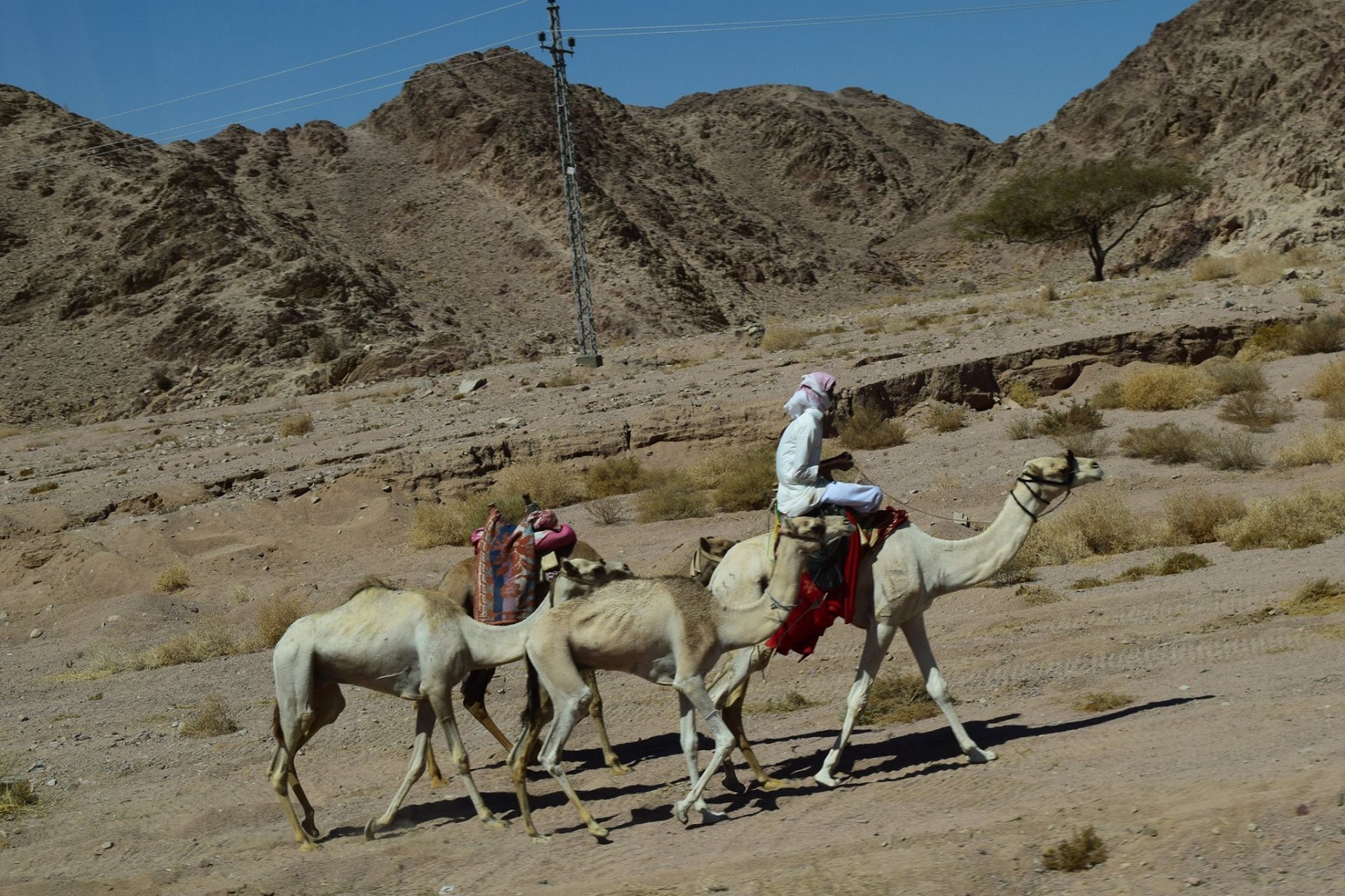 Foto: Arhimandrit Mihail Daniliuc Mănăstirea Sfânta Ecaterina, o insulă de creștinism într-o mare islamică