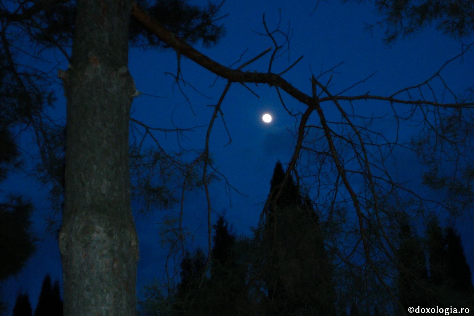 Să adormim cu gândul la Dumnezeu!