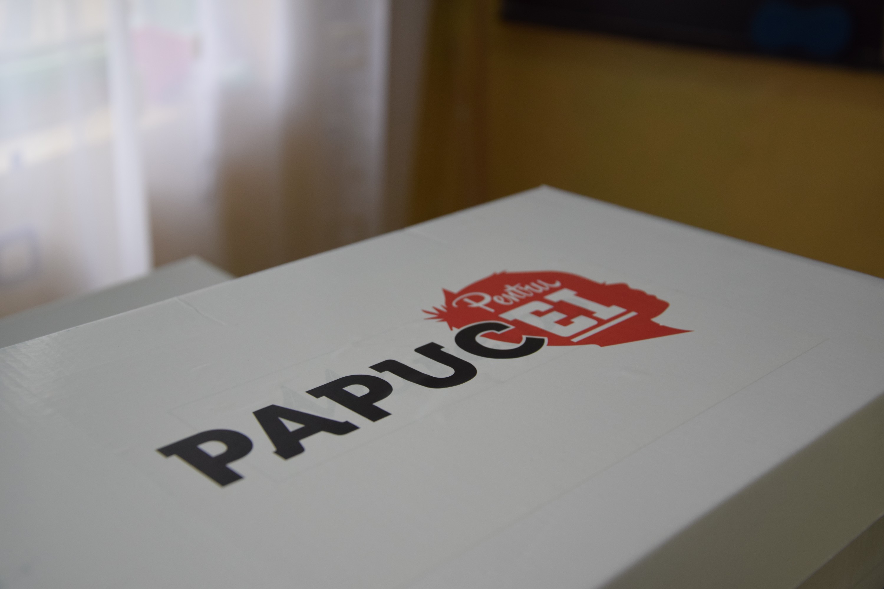 Proiectele Colegiului „Sfântul Nicolae” în Piscu Rusului: renovarea școlii și încălțăminte de iarnă pentru 43 de copii