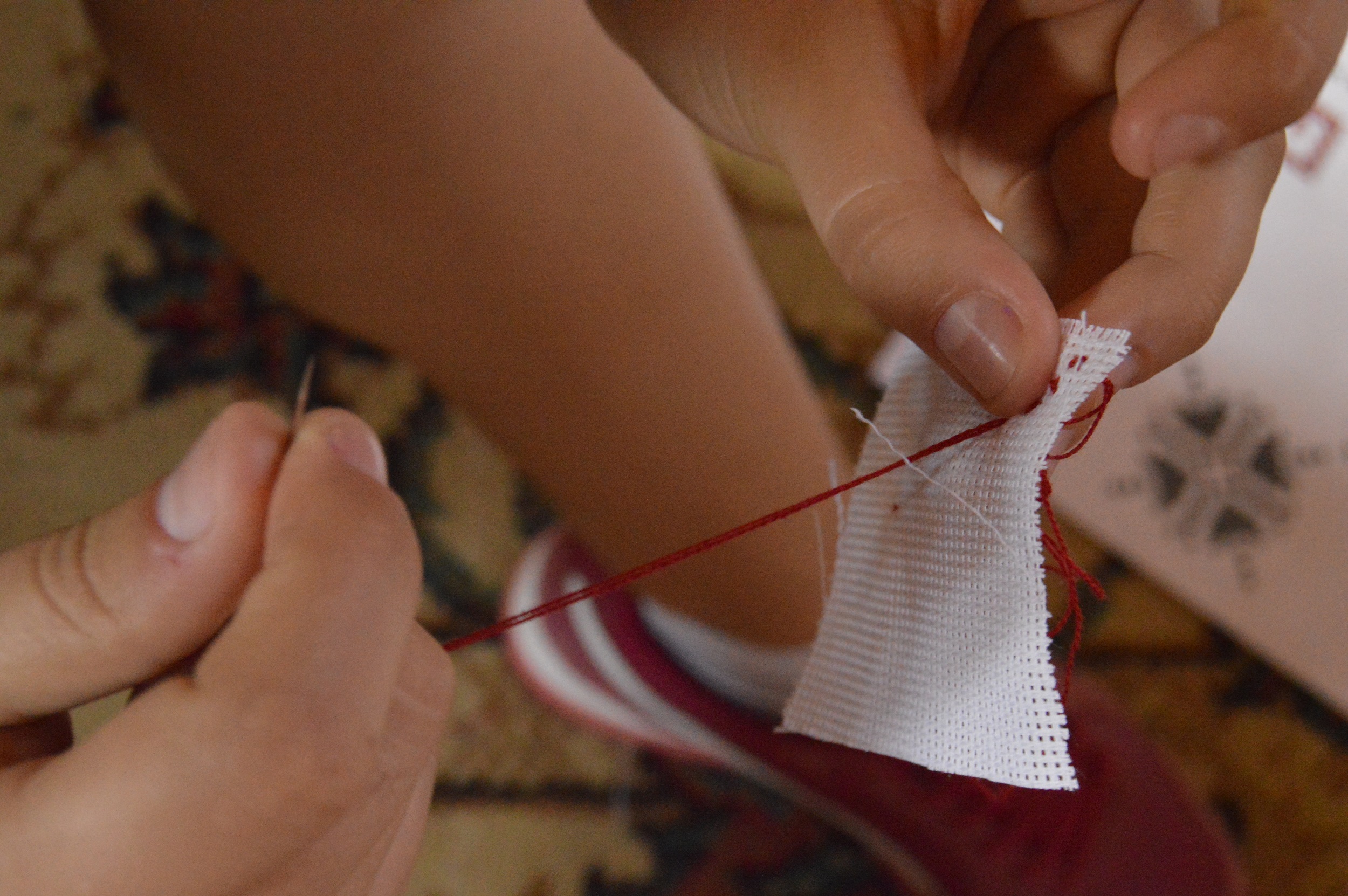 ASCOR Iaşi încheie proiectul „Empower Youth! Learn. Teach. Act!“