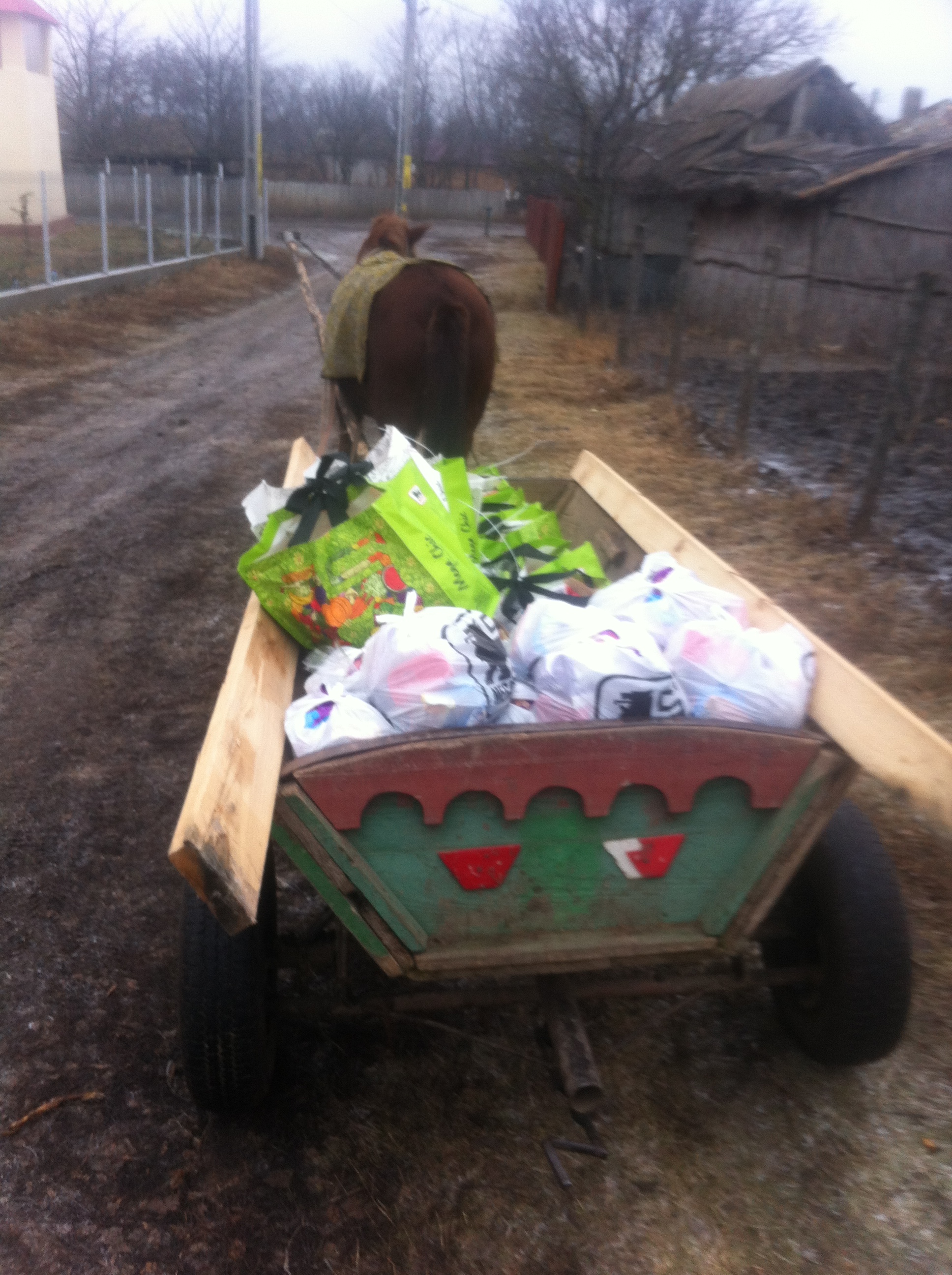 Daruri de Crăciun pentru persoanele nevoiaşe din Buruieneşti