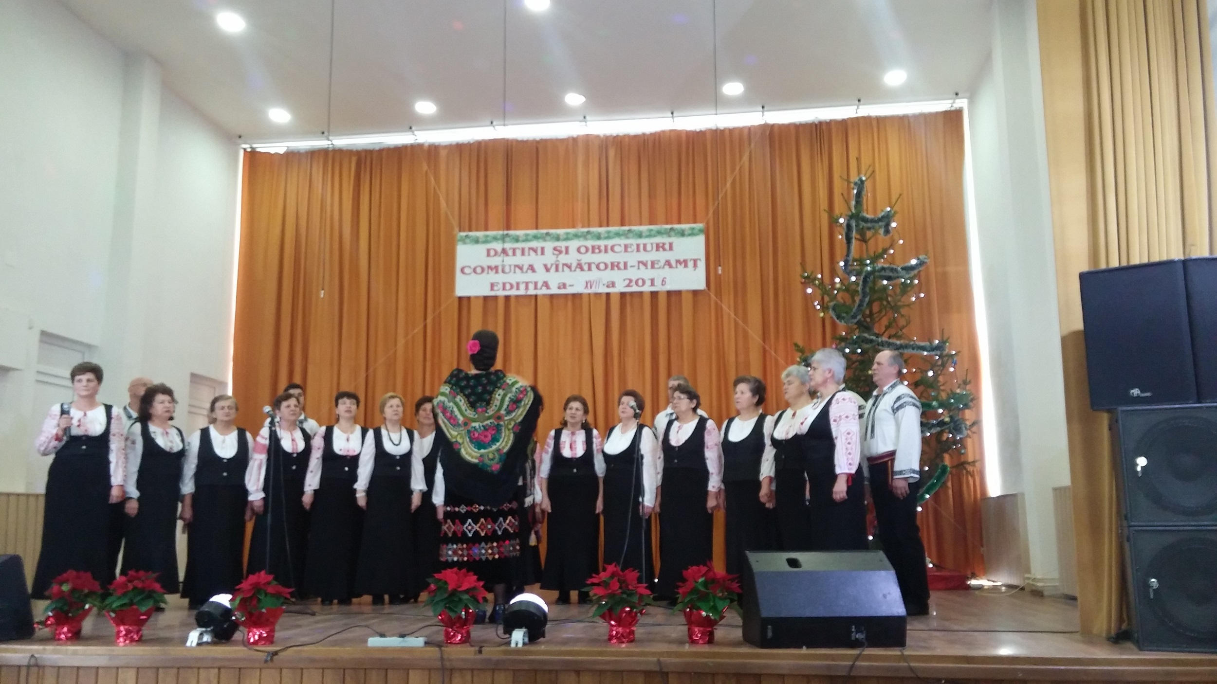 Datini străbune în comuna Vânători-Neamţ