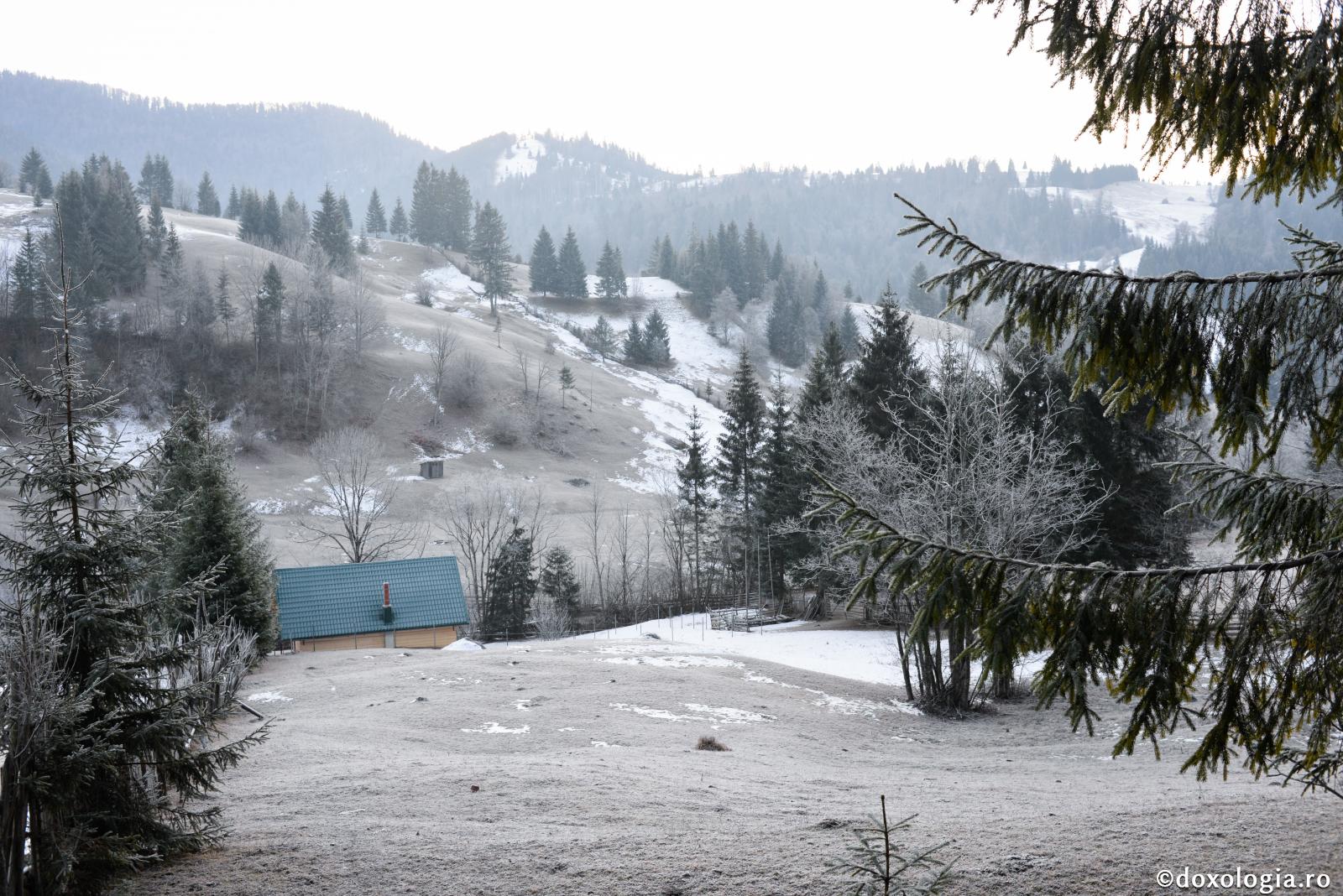 Iarna avem răbdare în nădejdea venirii primăverii