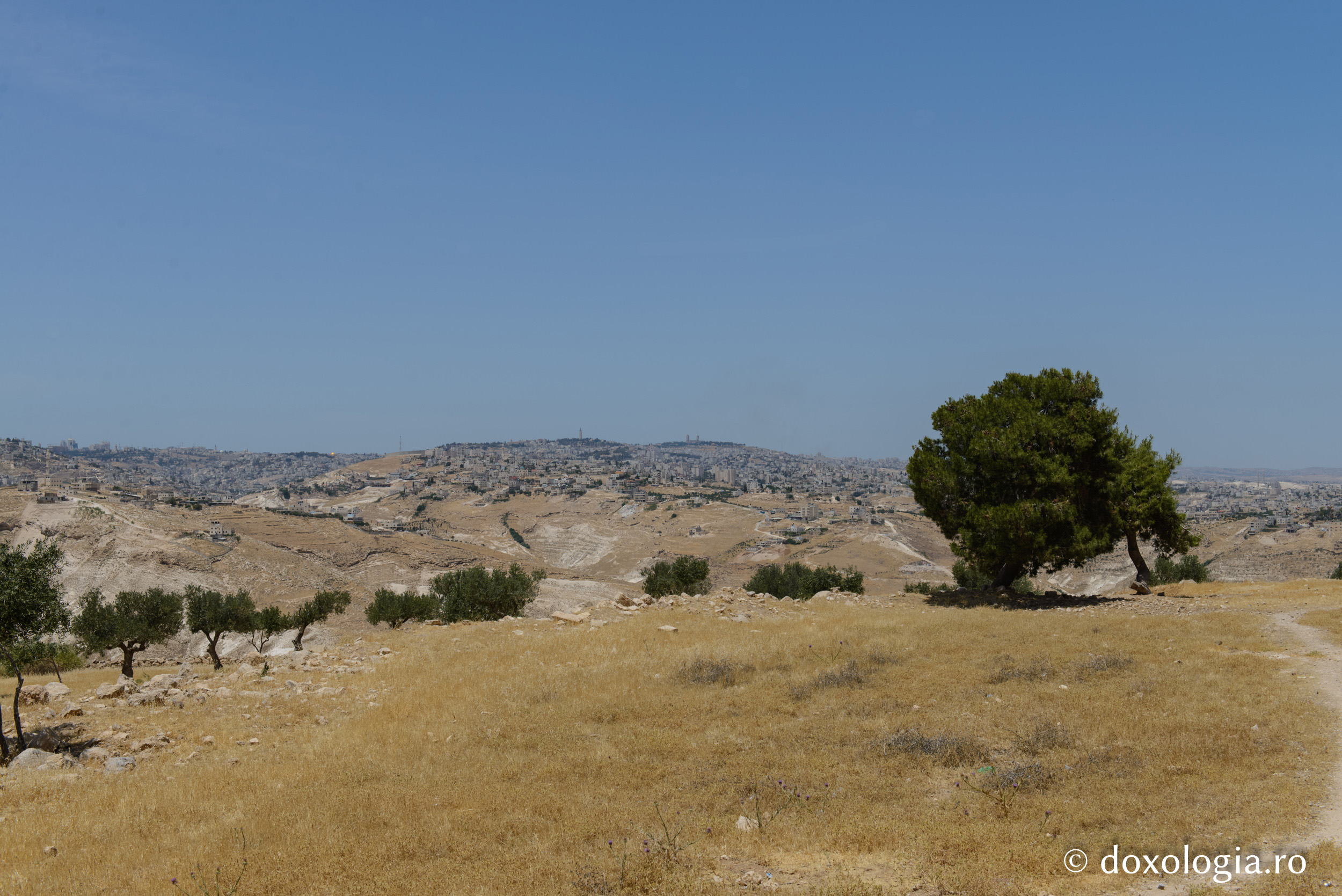 Câmpul păstorilor – Beit Sabur / Foto: Pr. Silviu Cluci Câmpul păstorilor – Beit Sabur