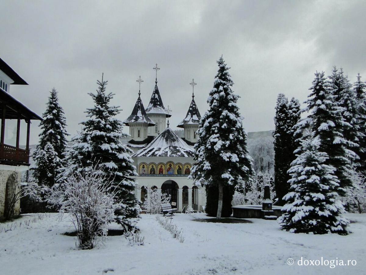 Comunicat de presă al Consiliului duhovnicesc al Mănăstirii Sihăstria din data de 5 decembrie 2016