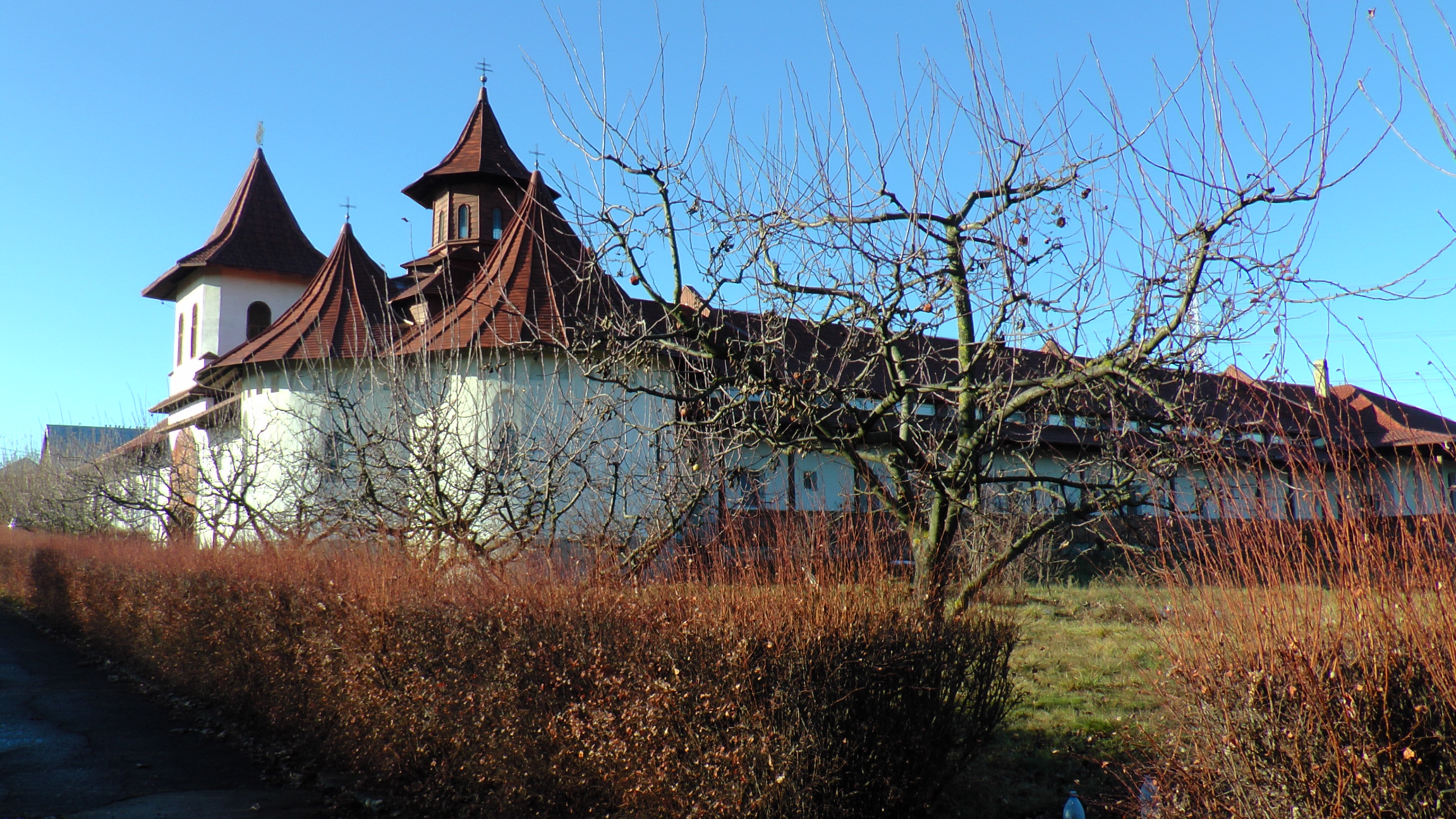 „Sfântul Arhidiacon Ştefan este pildă de iertare a celor care ne greşesc“