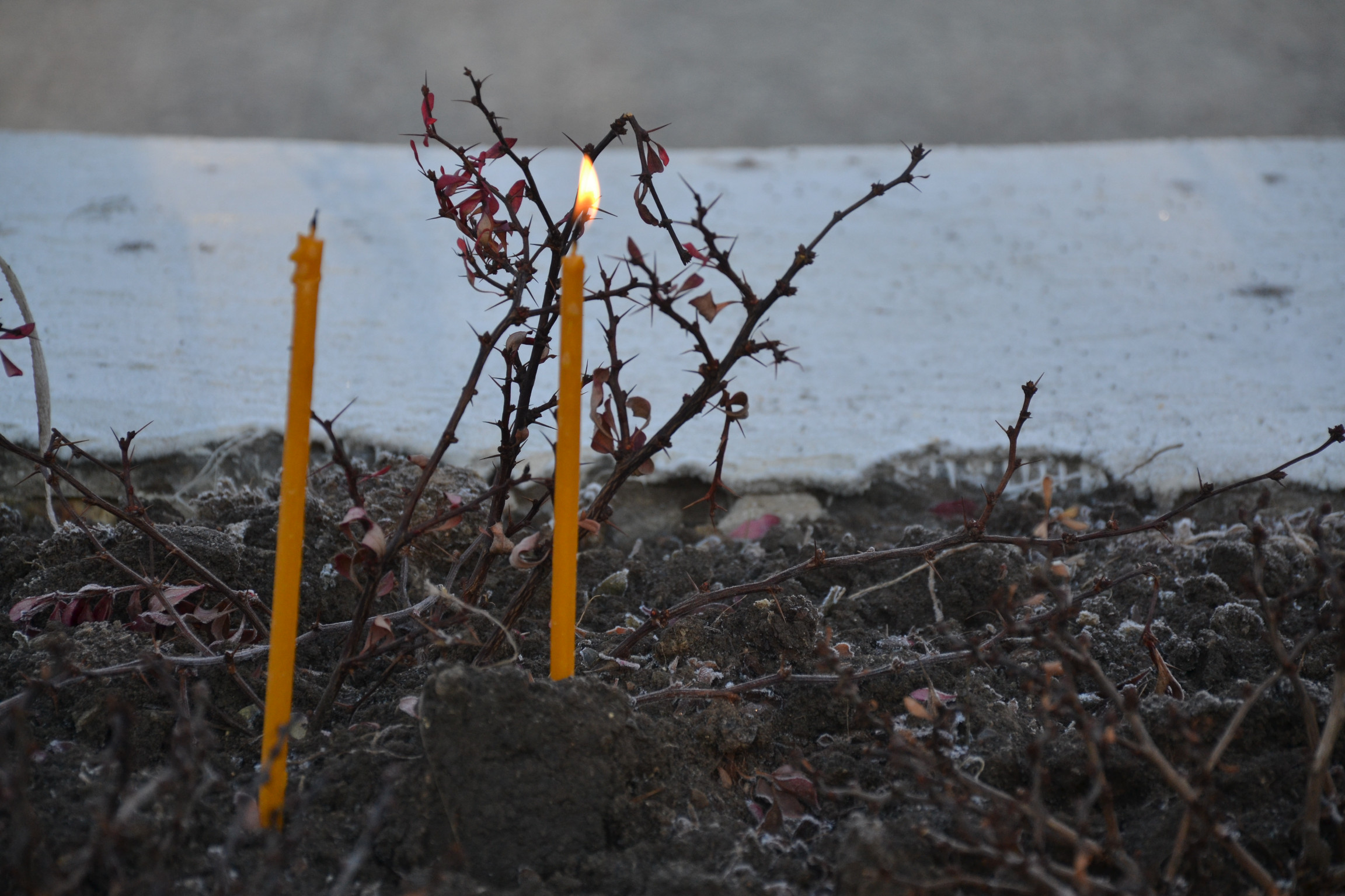 Slujbă de pomenire pentru eroii Revoluției din 1989, la Iași Slujbă de pomenire pentru eroii Revoluției din 1989, la Iași