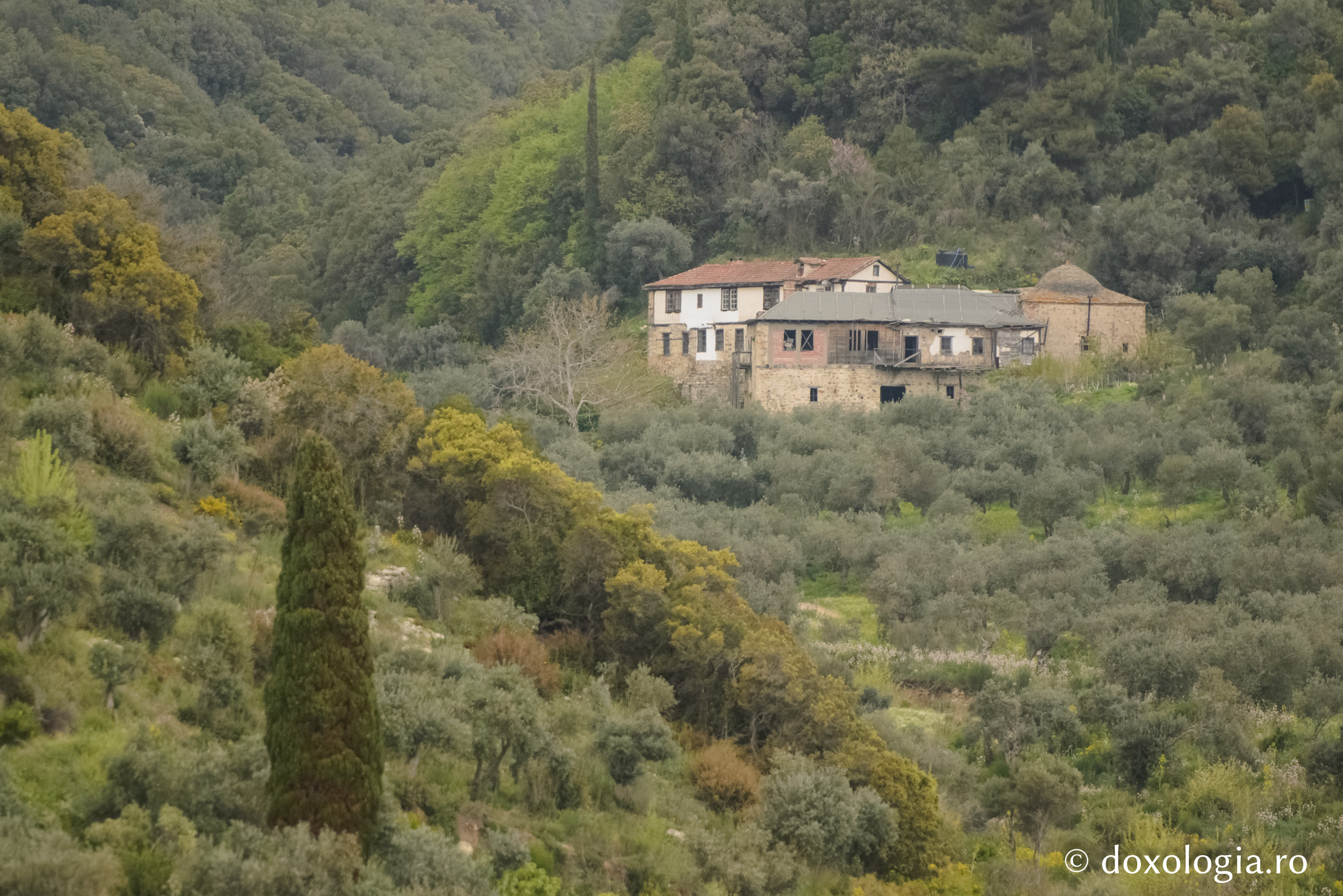 Chilia „Sfântul Spiridon” – Iovanița, Athos