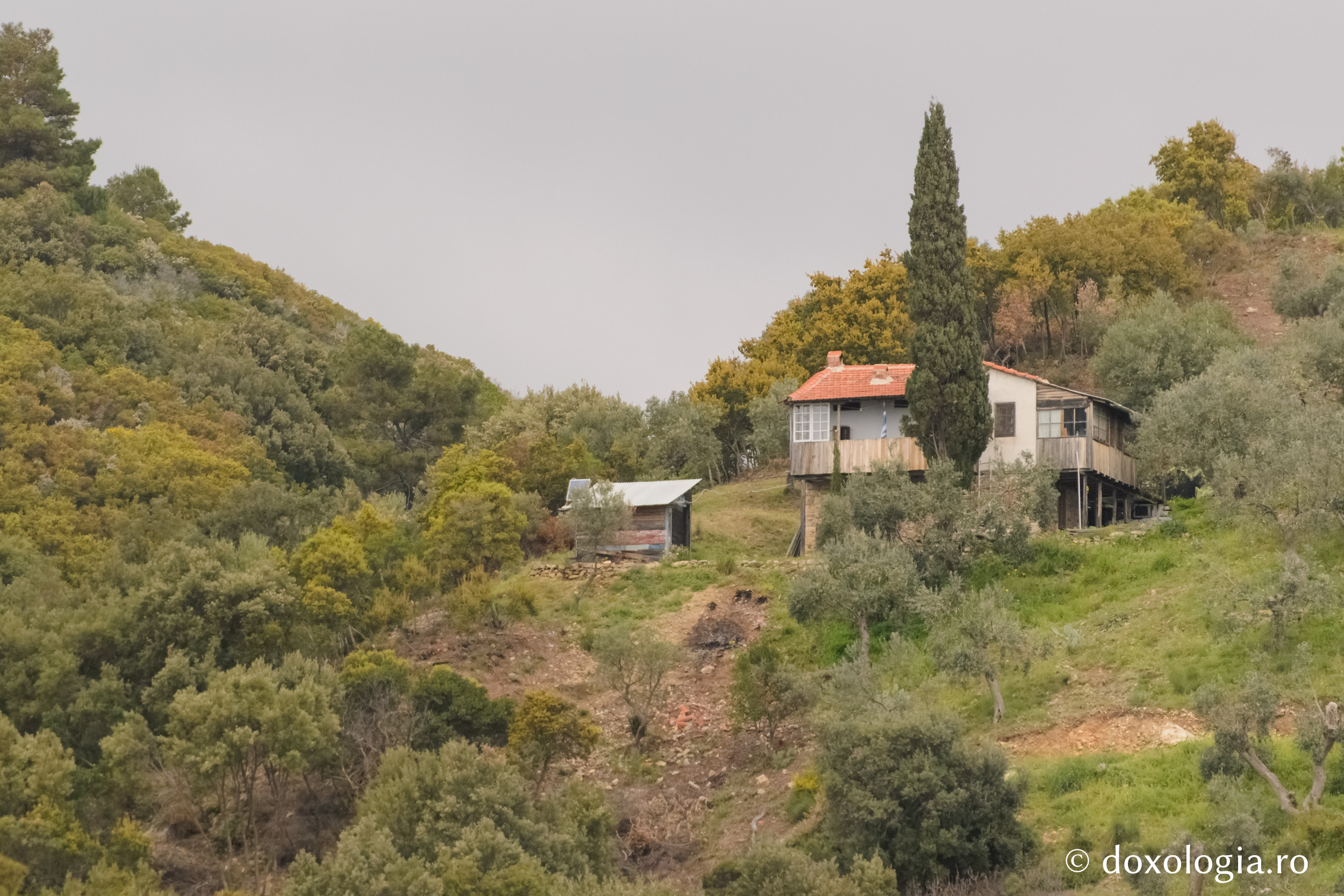 Coliba „Sfântul Atanasie Athonitul” – Iovanița, Athos