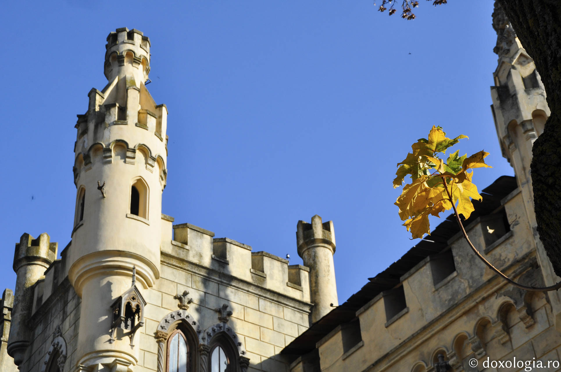 Preocupările Centrului Social-Cultural „Sfântul Ilie” de la Miclăușeni