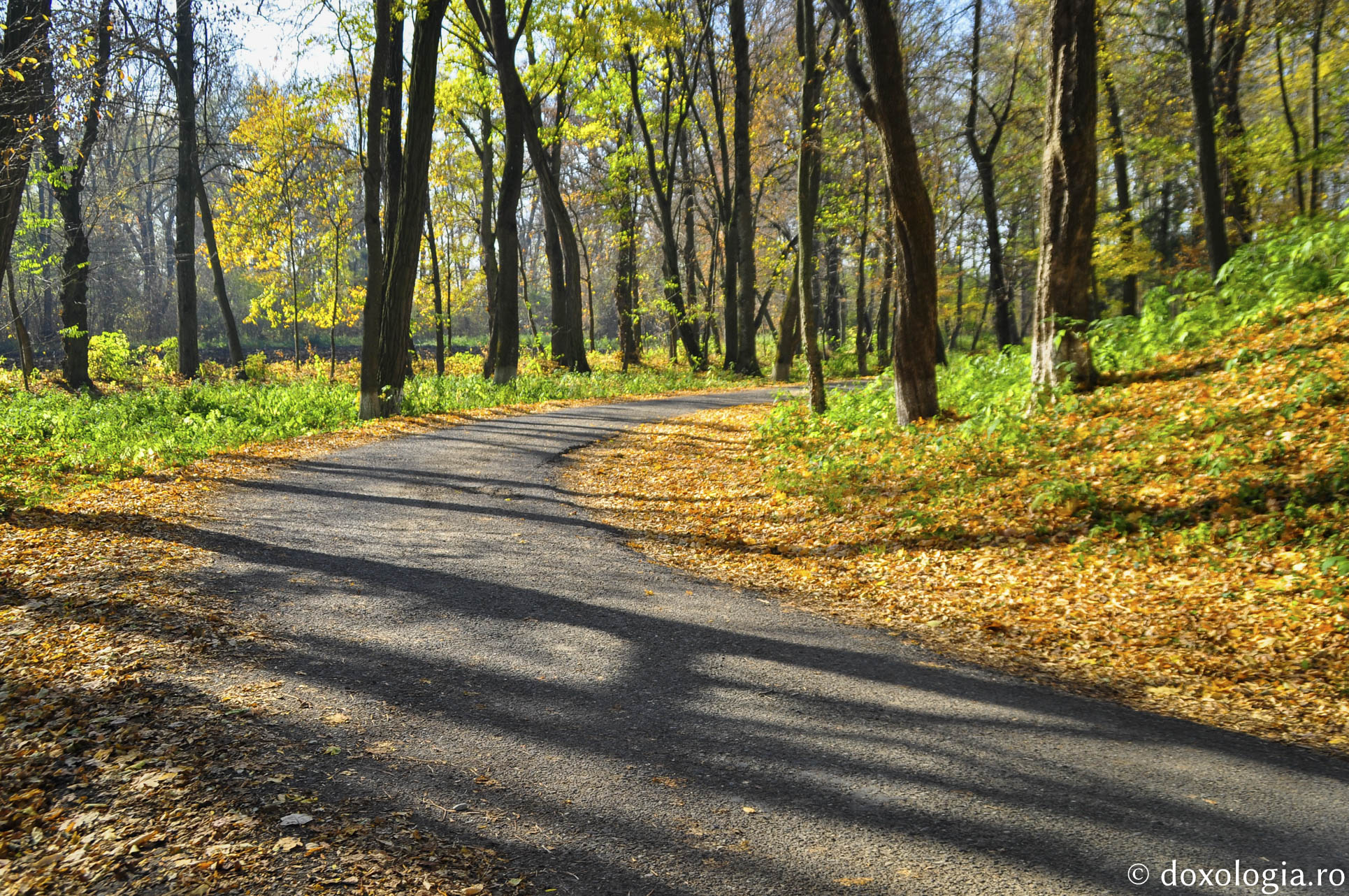 La Castelul Sturza de la Miclăușeni, „frumusețea strălucește pretutindeni”