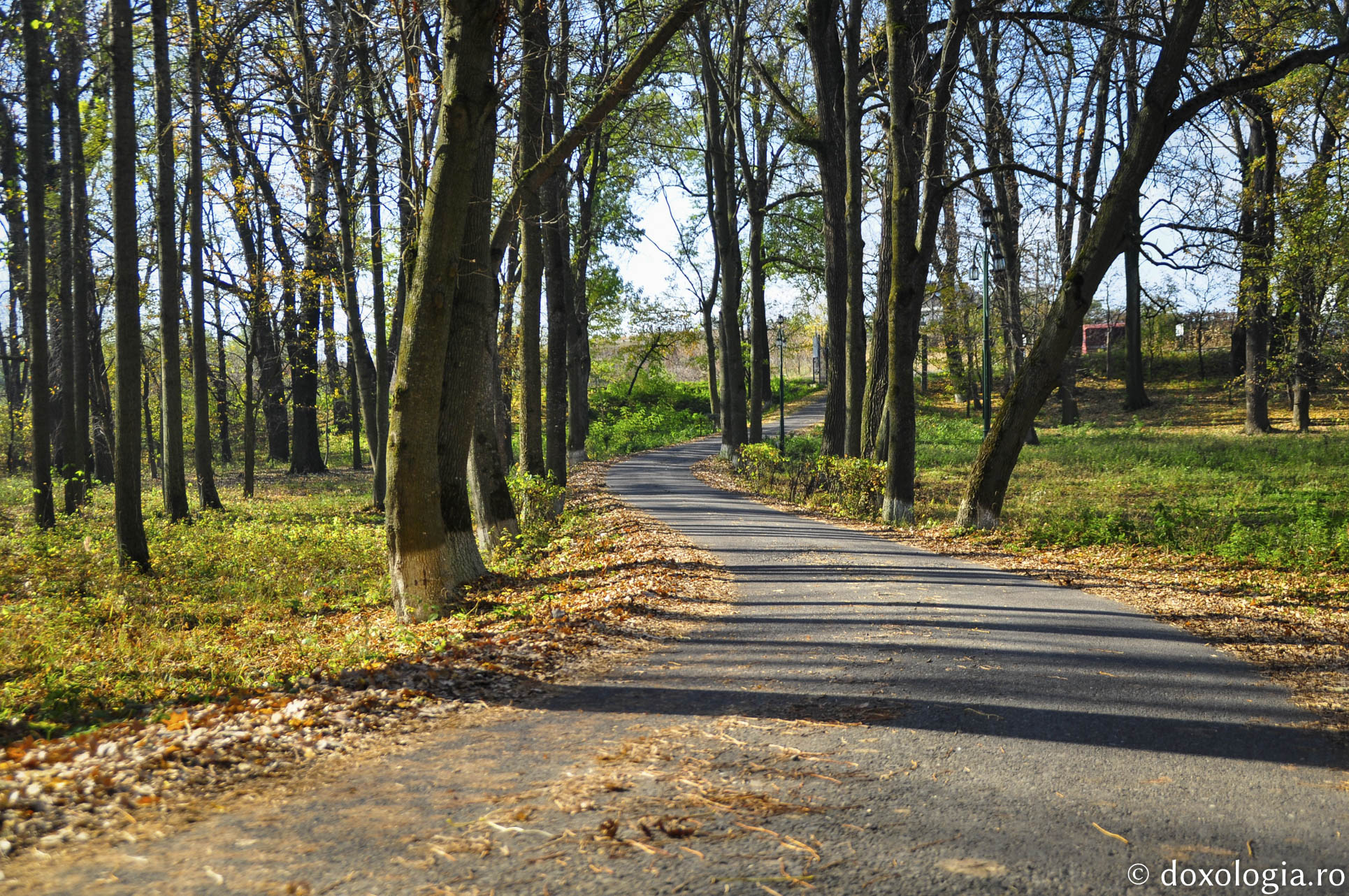 La Castelul Sturza de la Miclăușeni, „frumusețea strălucește pretutindeni”