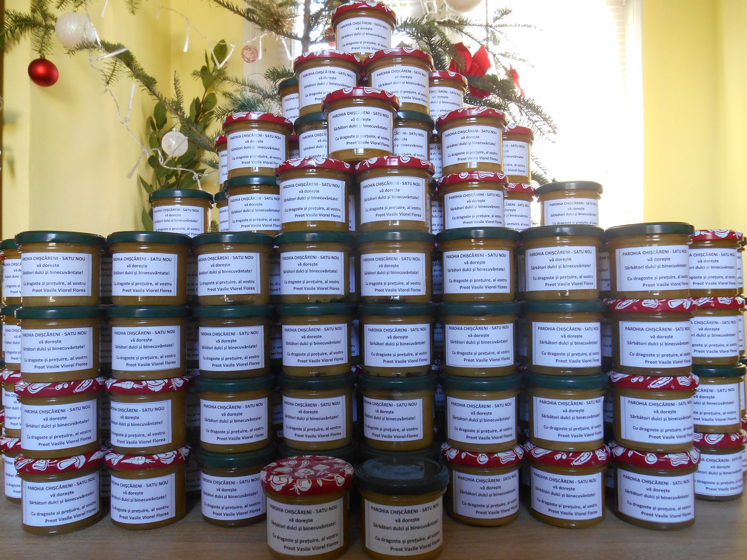 Proiect misionar-filantropic în parohiile Chișcăreni și Satu Nou