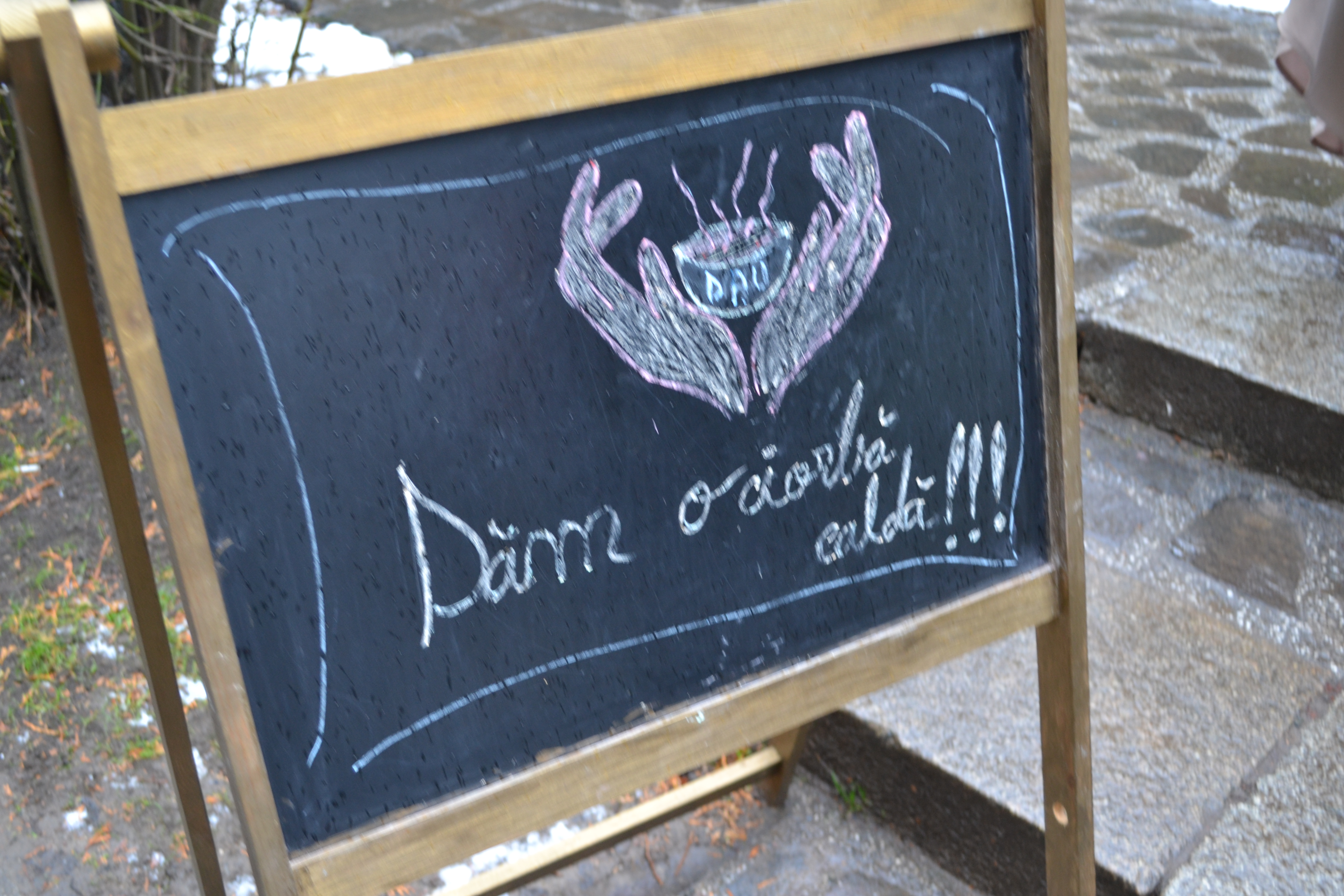 „DAU”, proiectul prin care fetele de la Colegiul „Sfântul Nicolae” gătesc săptămânal pentru oamenii străzii