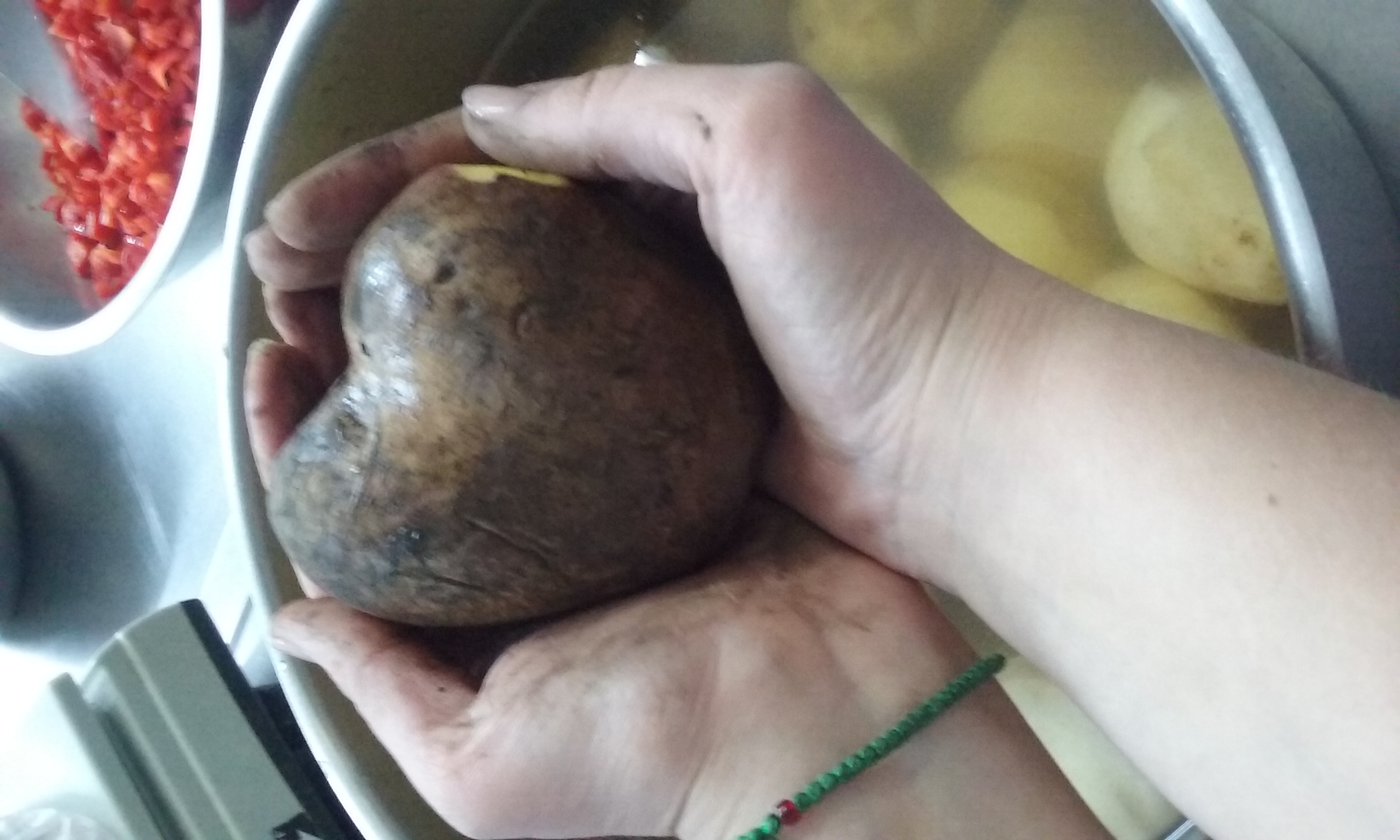 „DAU”, proiectul prin care fetele de la Colegiul „Sfântul Nicolae” gătesc săptămânal pentru oamenii străzii