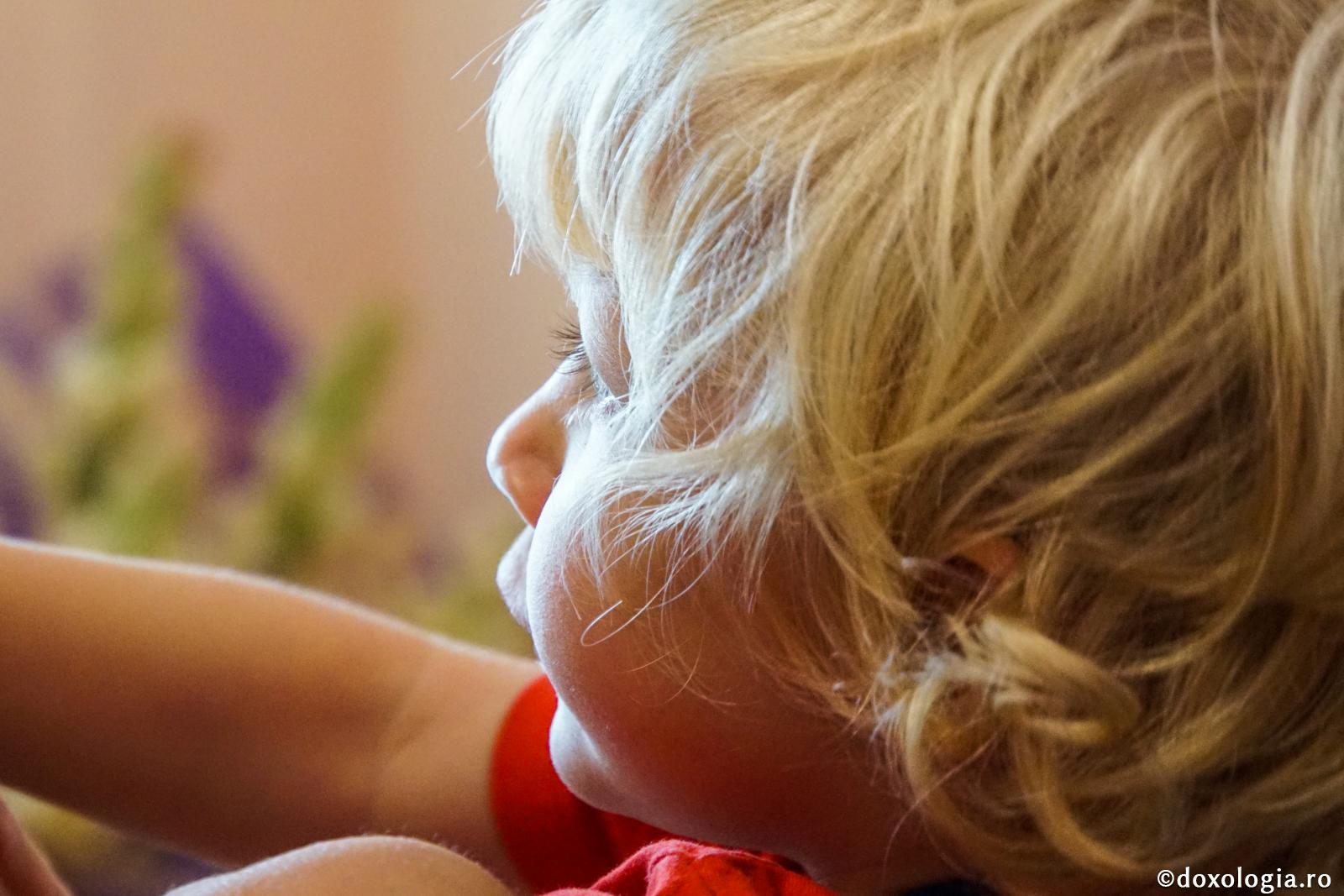 Televizorul acționează hipnotic asupra psihicului