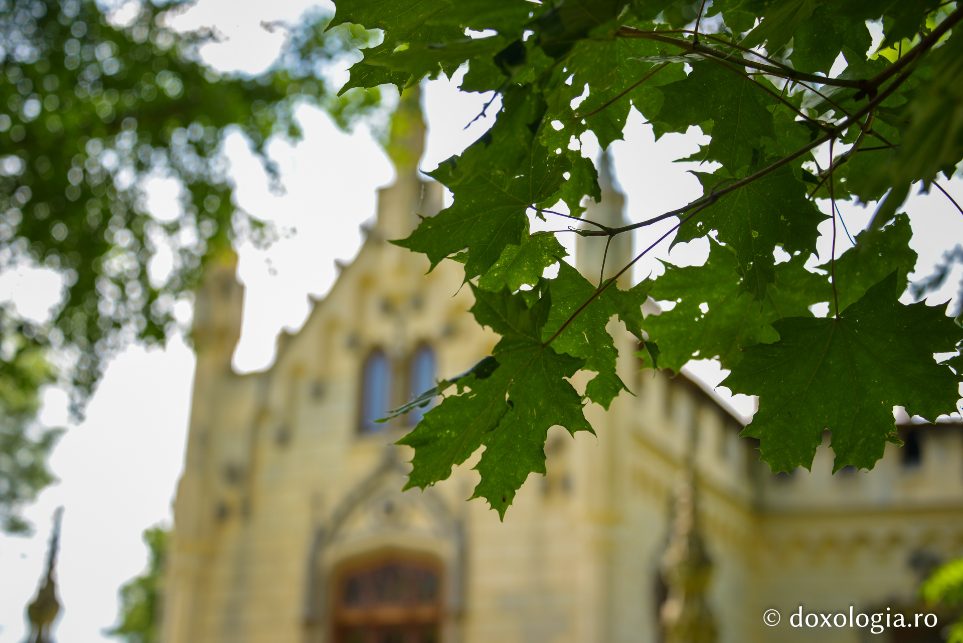 Cărți inestimabile, în fosta bibliotecă a Castelului de la Miclăușeni