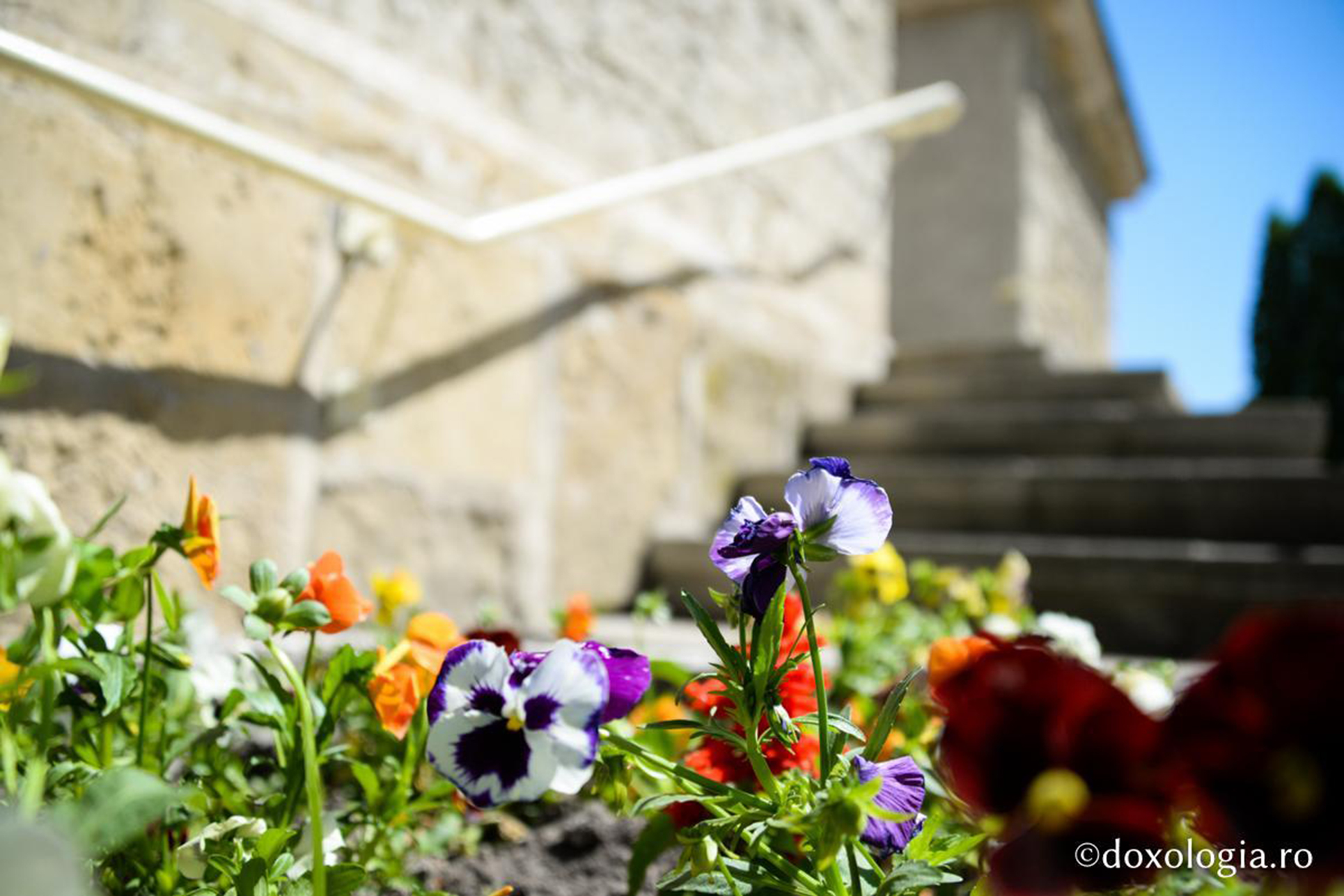 Foto: Ștefan Cojocariu Maica Ecaterina, între căsătorie, monahism și chemarea Maicii Domnului