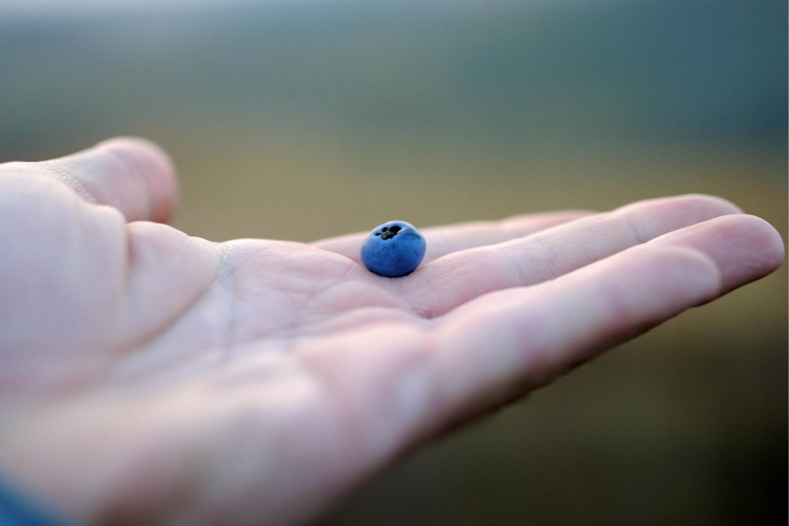 Postești? Arată-mi-o prin fapte!