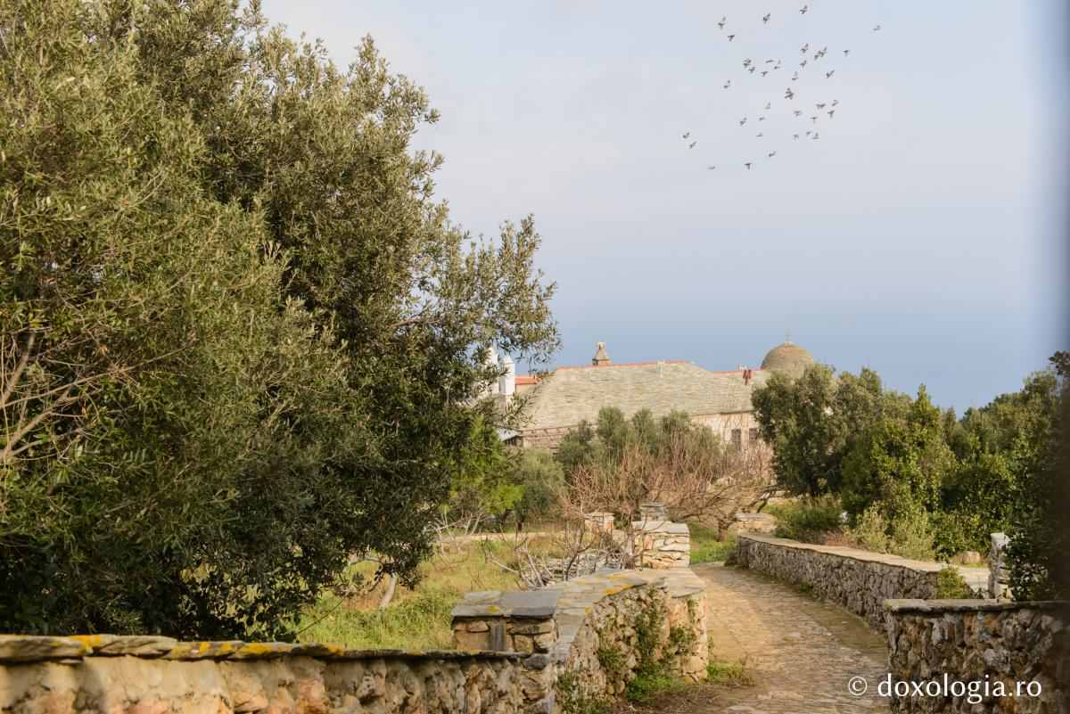 Sihăstria „Intrarea Maicii Domnului în Templu” – Vigla / Foto: Pr. Silviu Cluci Sihăstria „Intrarea Maicii Domnului în Templu” – Vigla