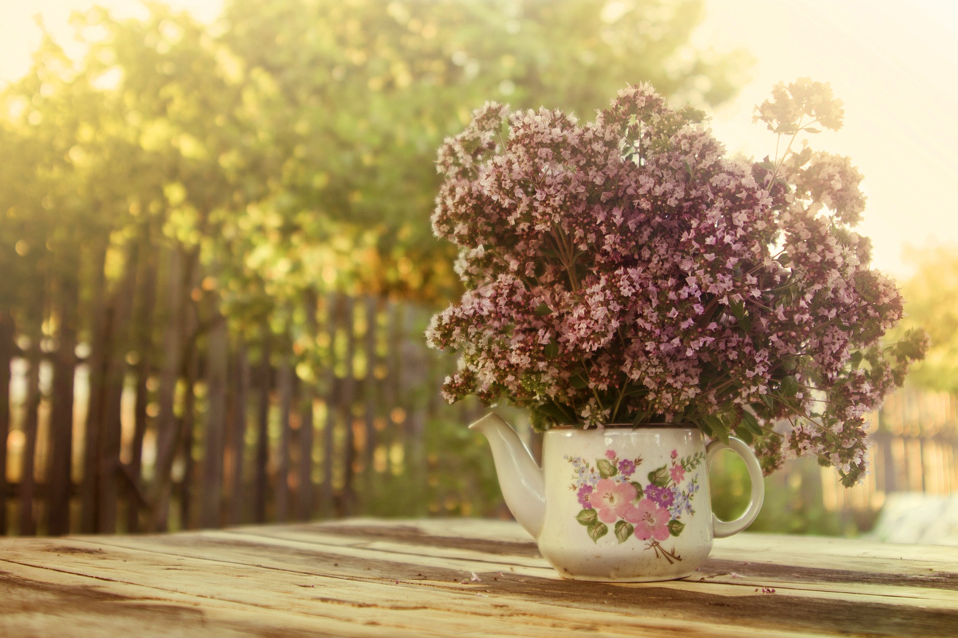 Leacurile din grădină pentru combaterea balonării