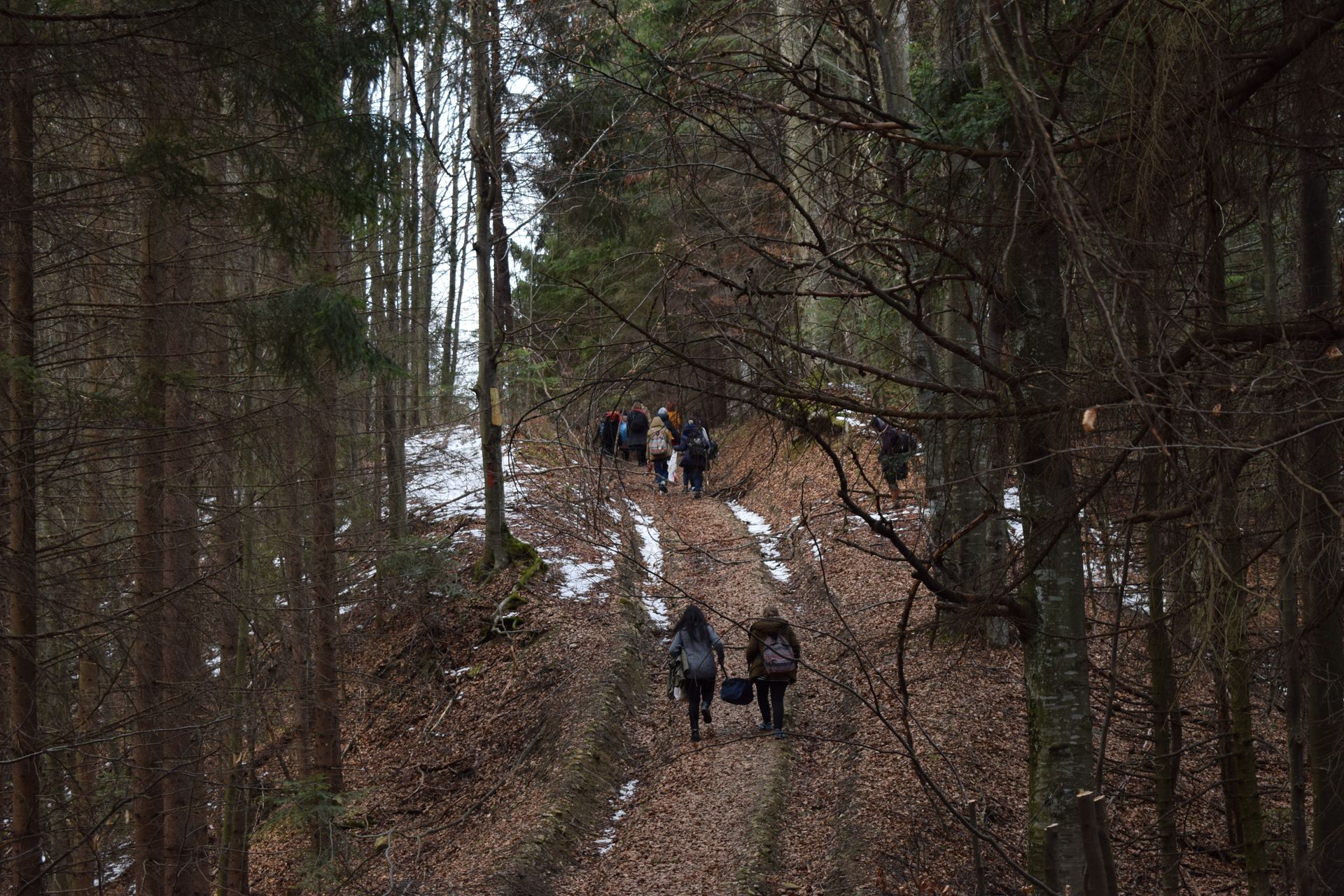 Aer de mănăstiri nemţene