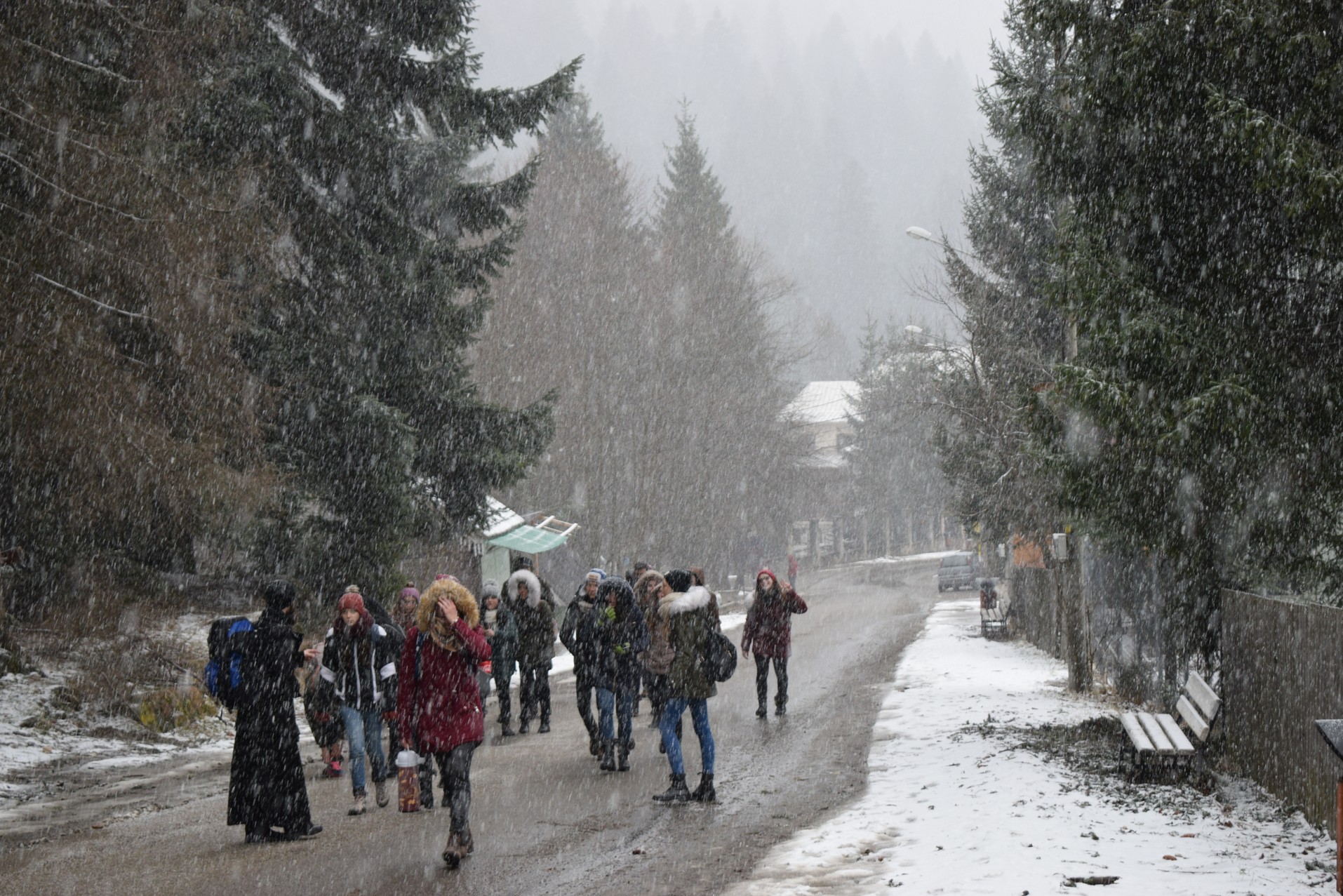 O călătorie către interior