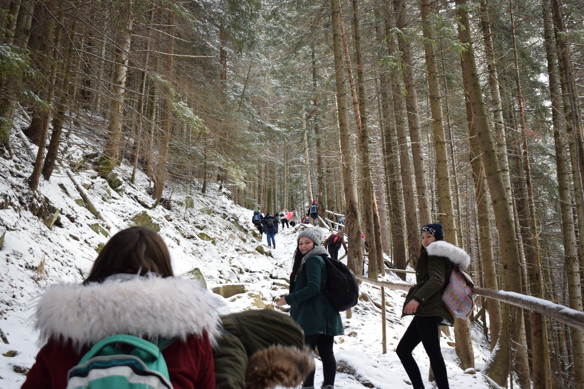 O călătorie către interior